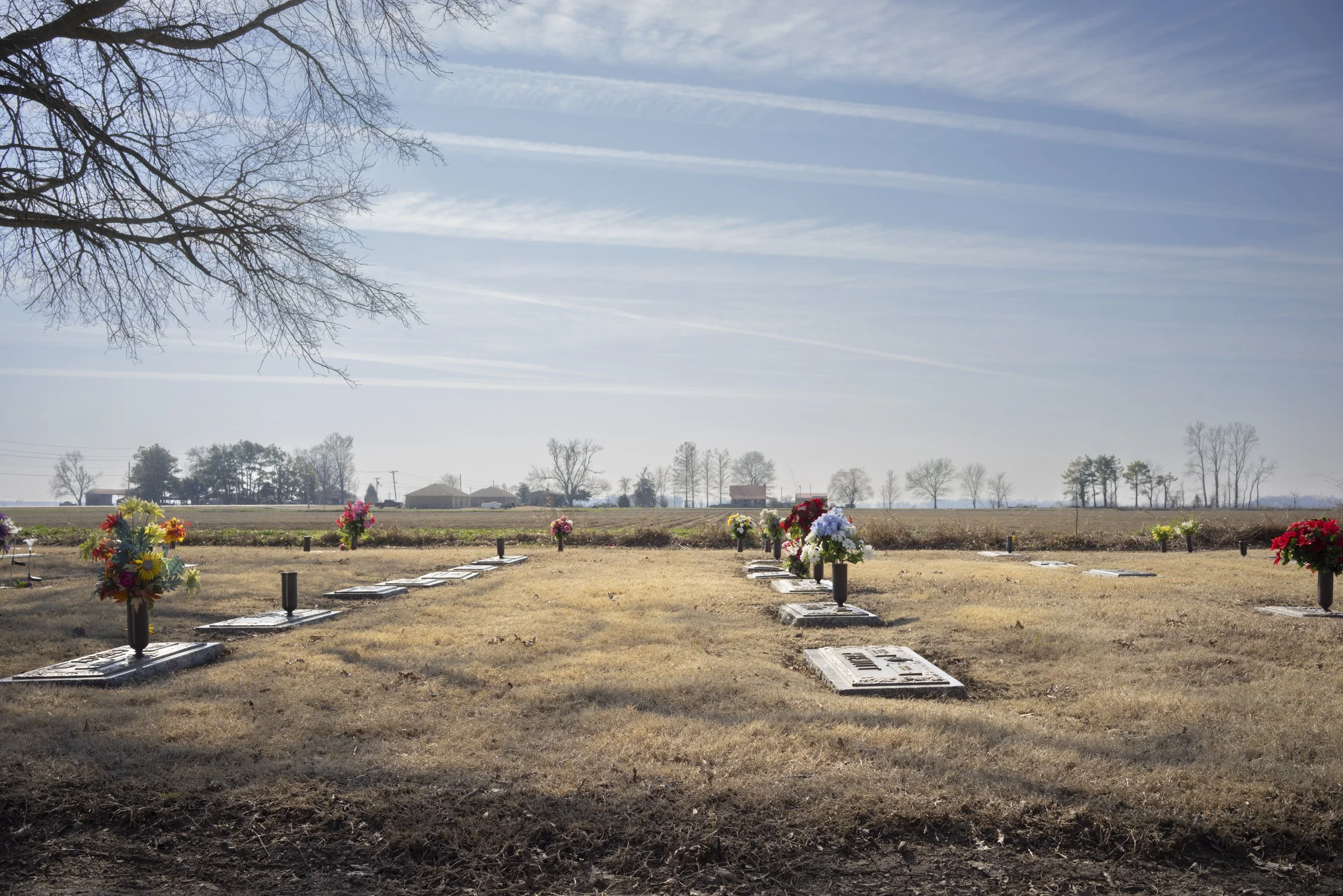The Cemetary Where My Mother was Buried, 2015