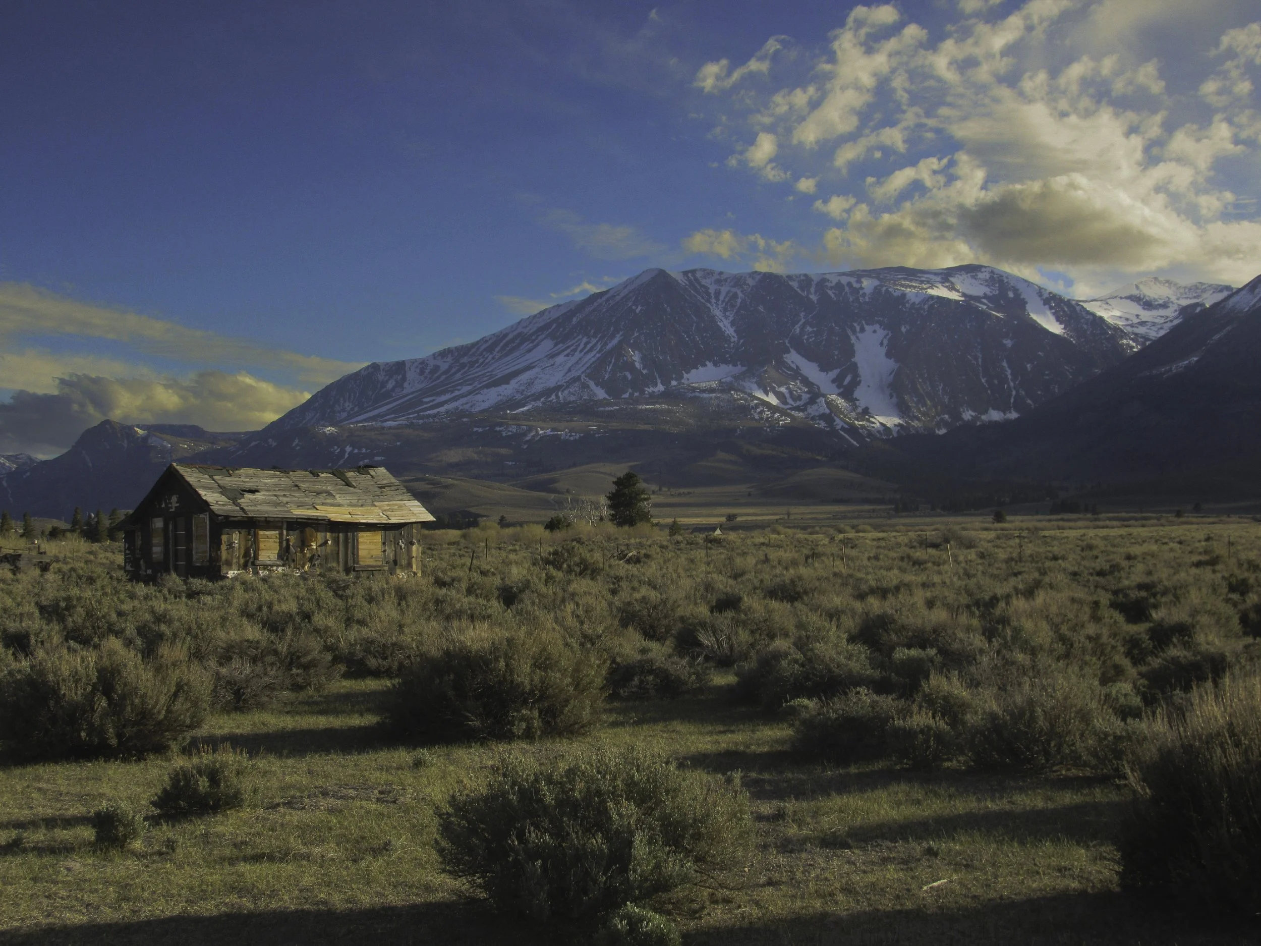 Shack, Highway 395