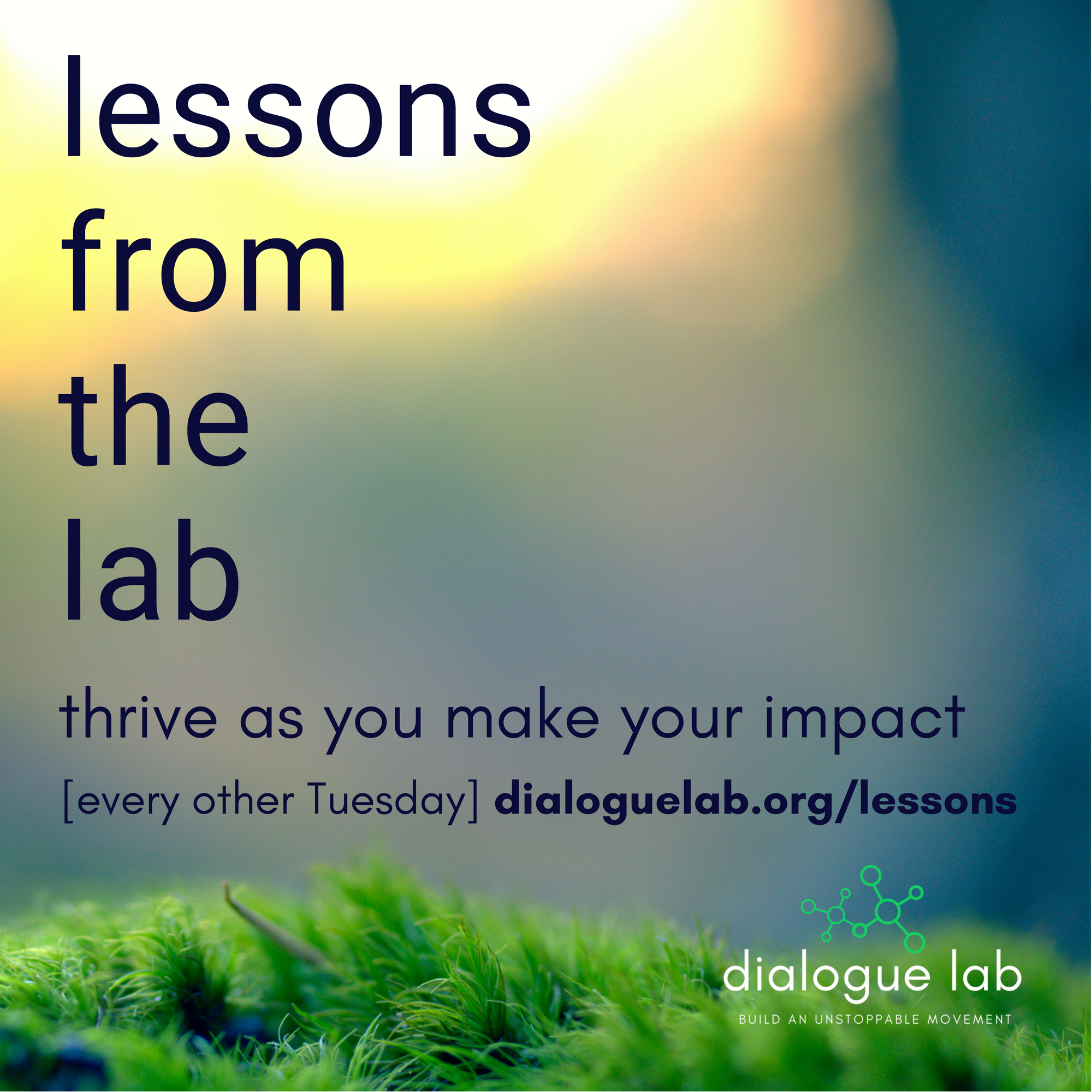 Copy of Lessons from the Lab (3).png