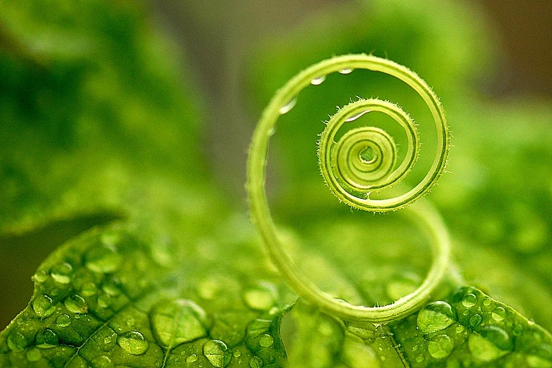 Photo credit: Matthew Fang on Visualhunt / CC BY-NC-ND