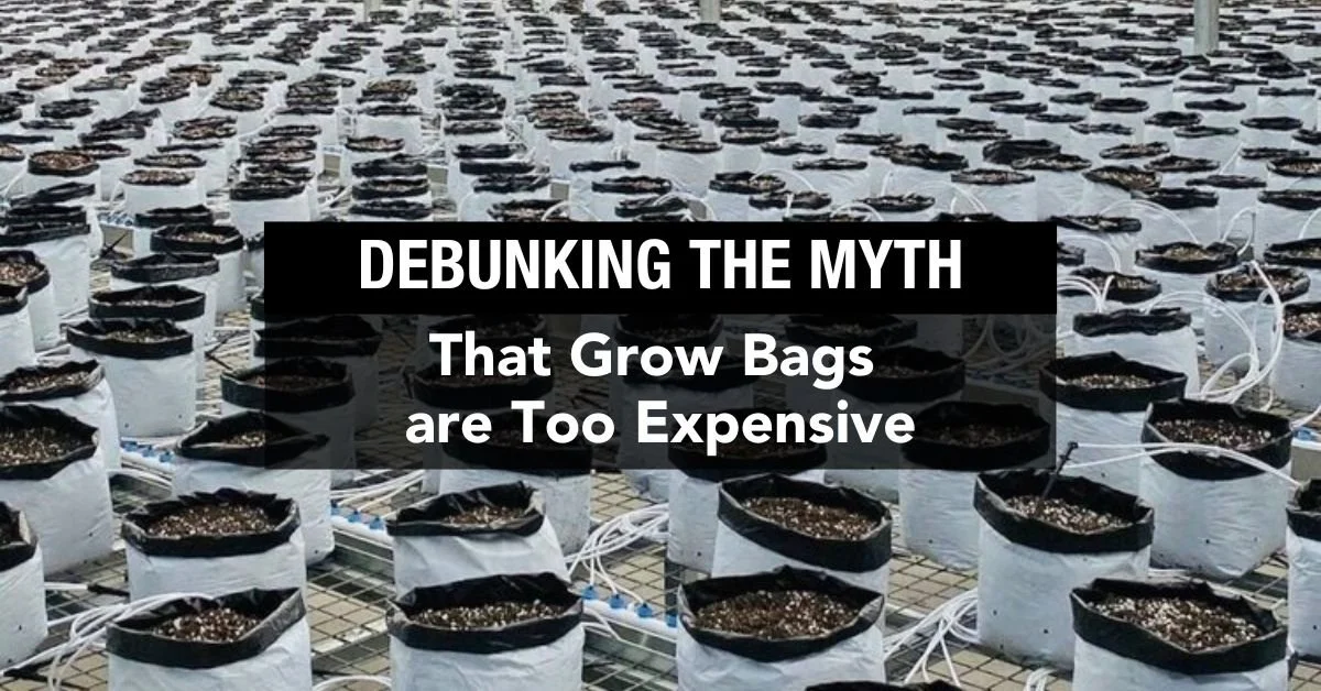Debunking the Myth that Grow Bags are Too Expensive