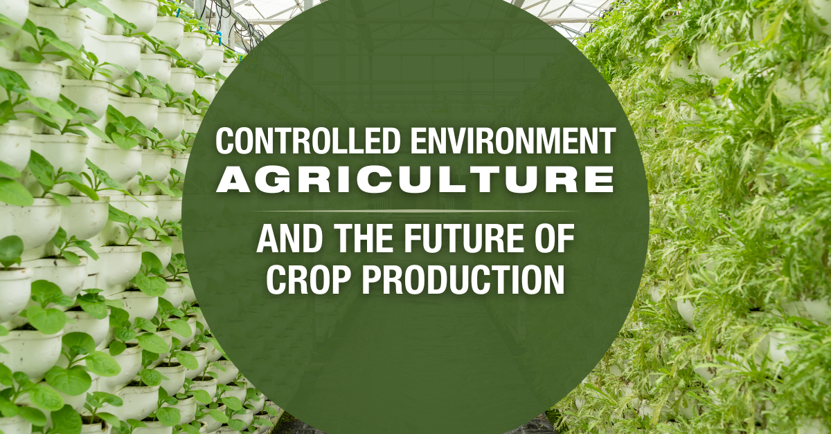 Controlled Environment Agriculture and the Future of Crop Production