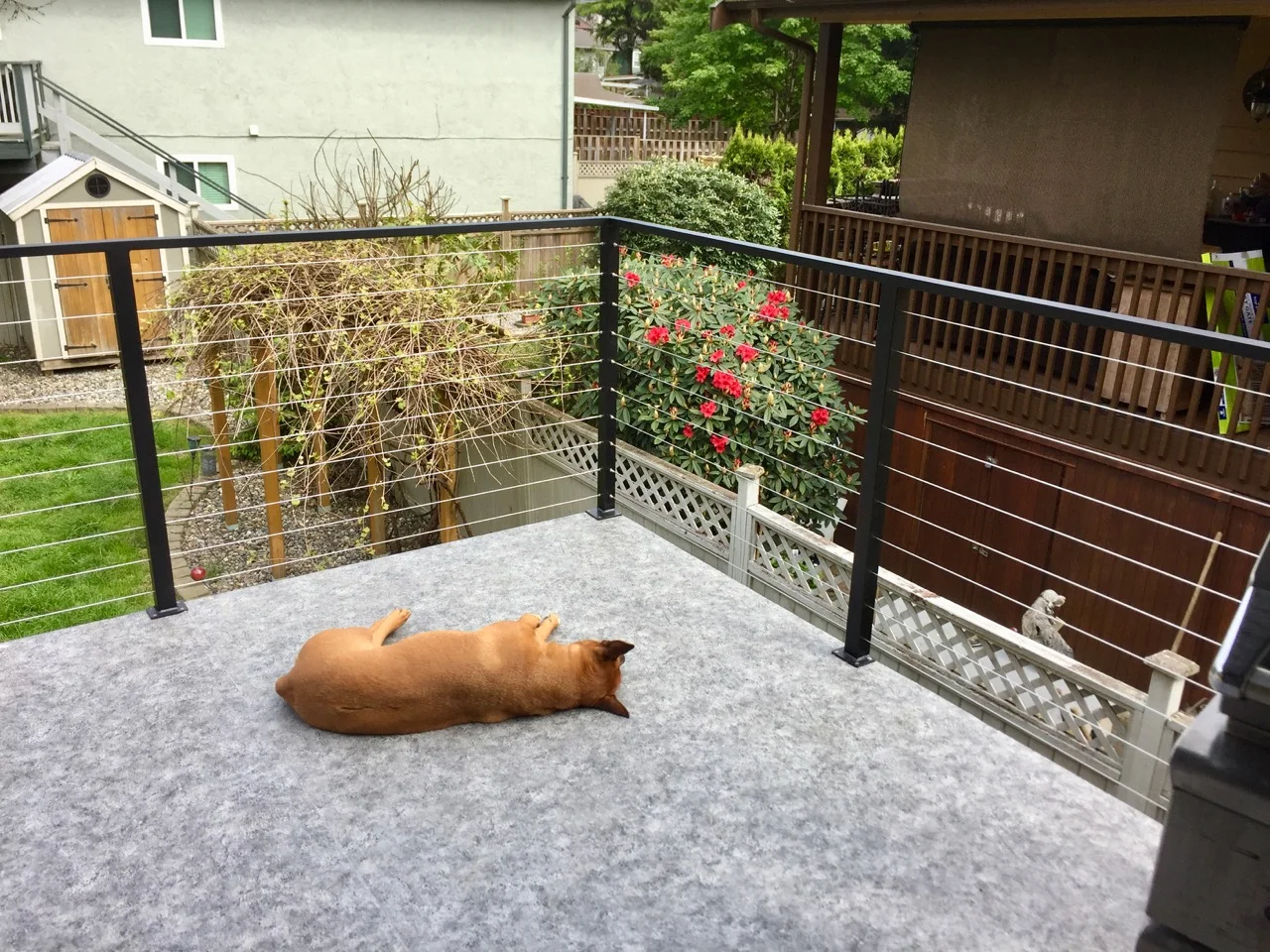 Residential Deck Railings