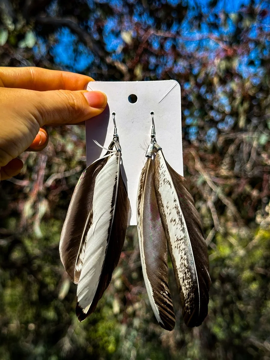 Pair17_5in_2.jpg