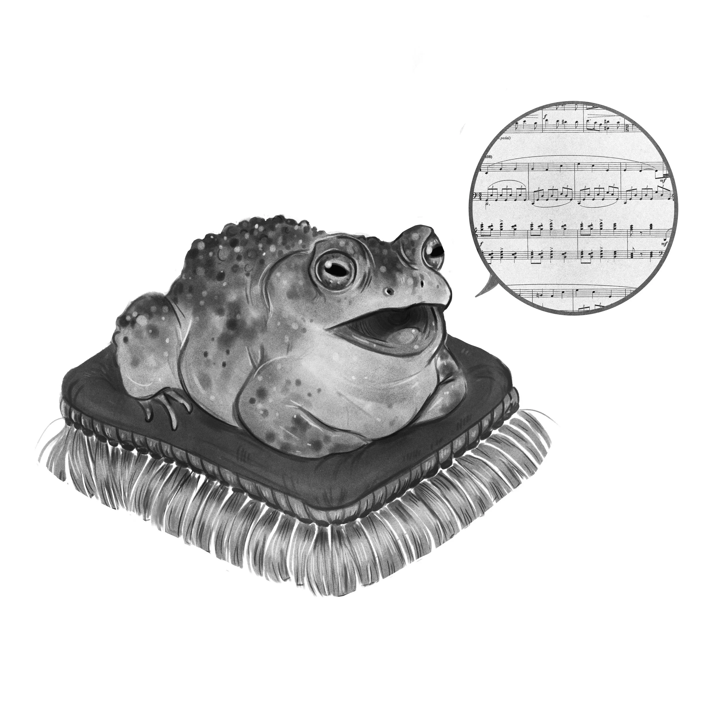 Singing Toad