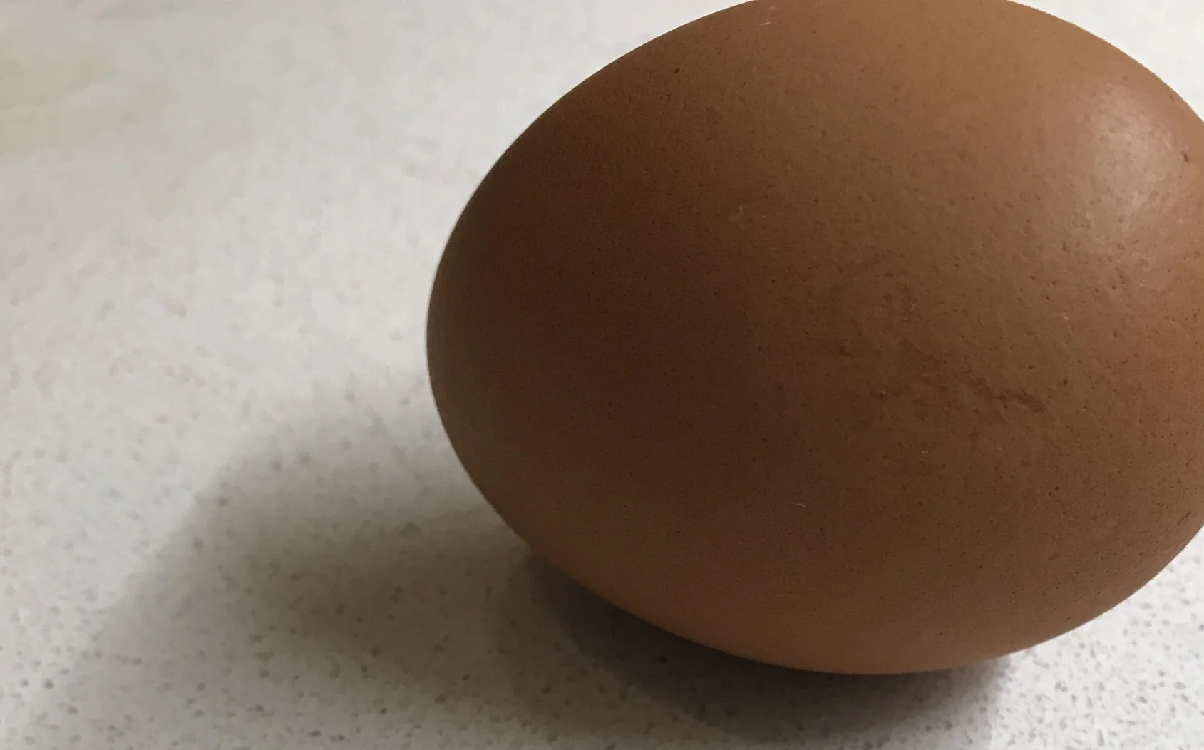 Every Chicken Comes From an Egg