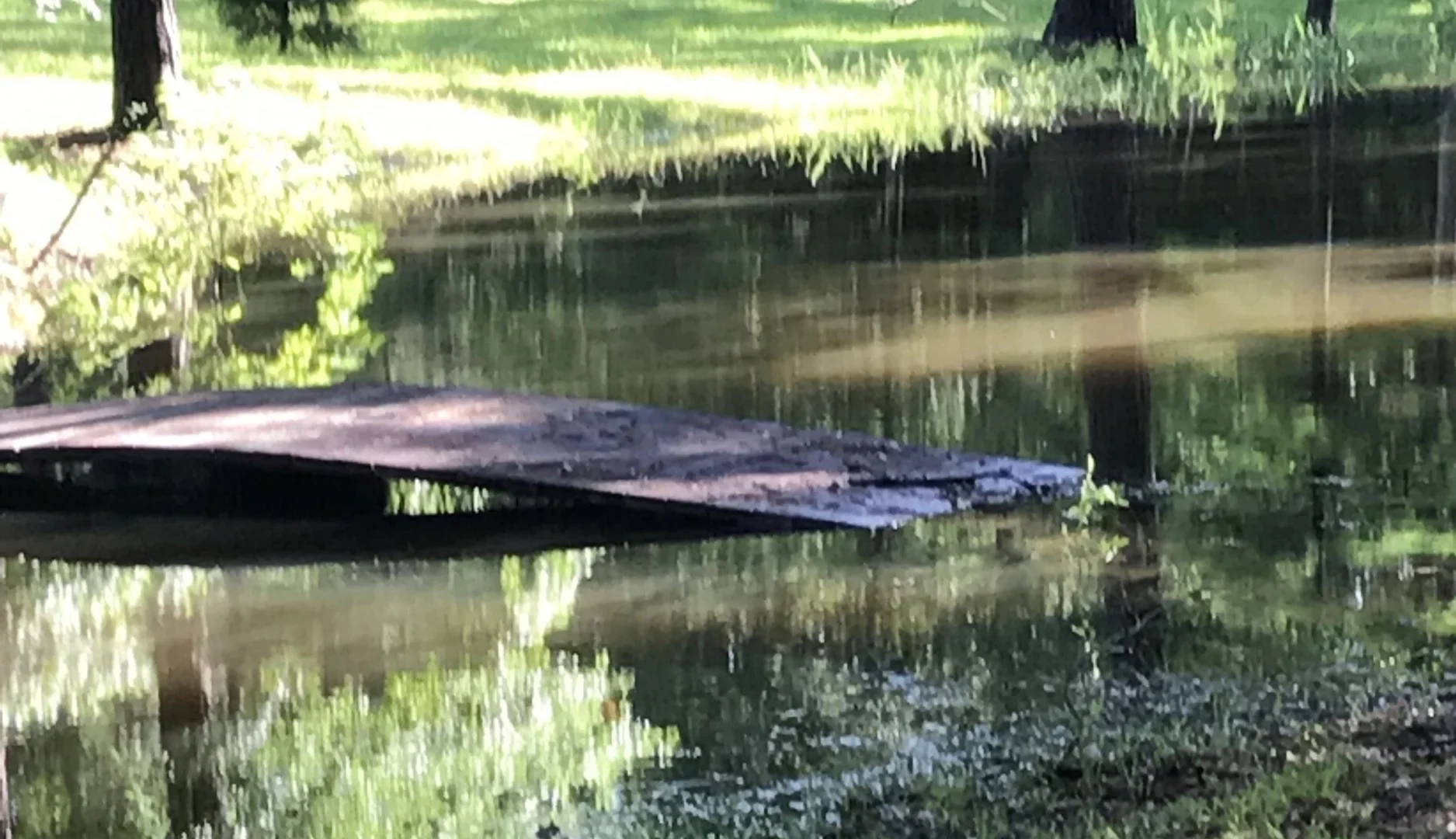 A Decision to be Abstinent