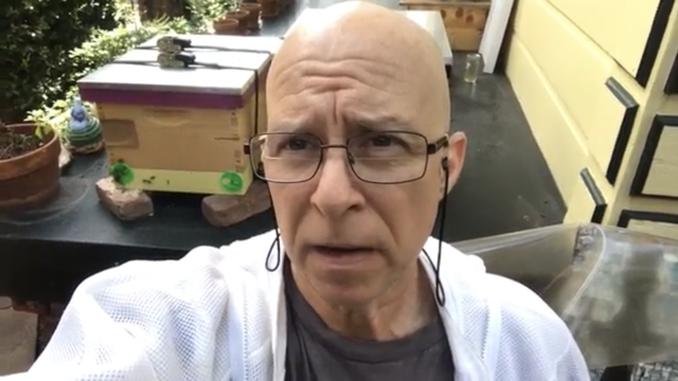 Vlog Episode 2 - Sequential and Parallel