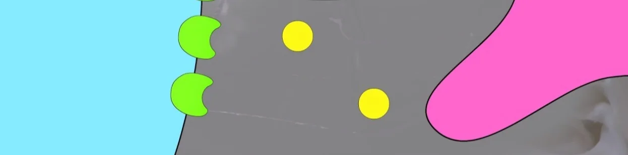 Dopamine Tone Video - Part 2 Transcript