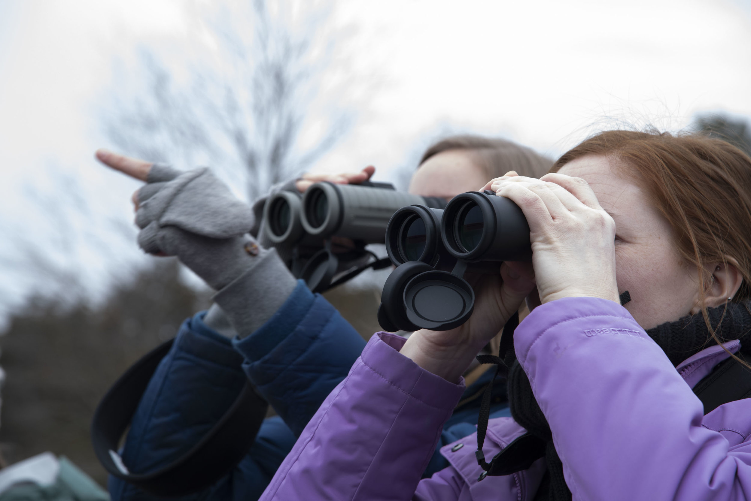 We took a trip to Blackwater Wildlife Refuge on February 23, 2019. (Photo by Kaitlyn Dolan )