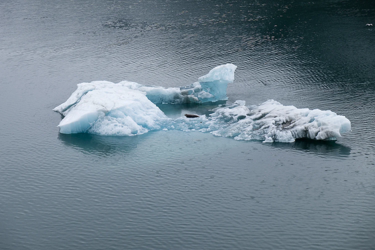 egging-alaska.jpg