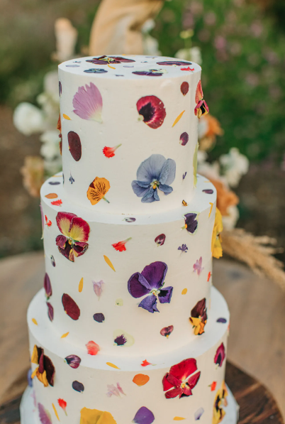 Screen Shot 2024-09-09 at 1.34.57 PM.png