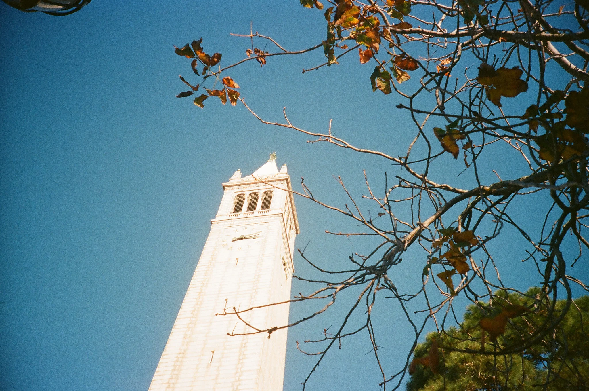 27660767501_938a14a615_k.jpg