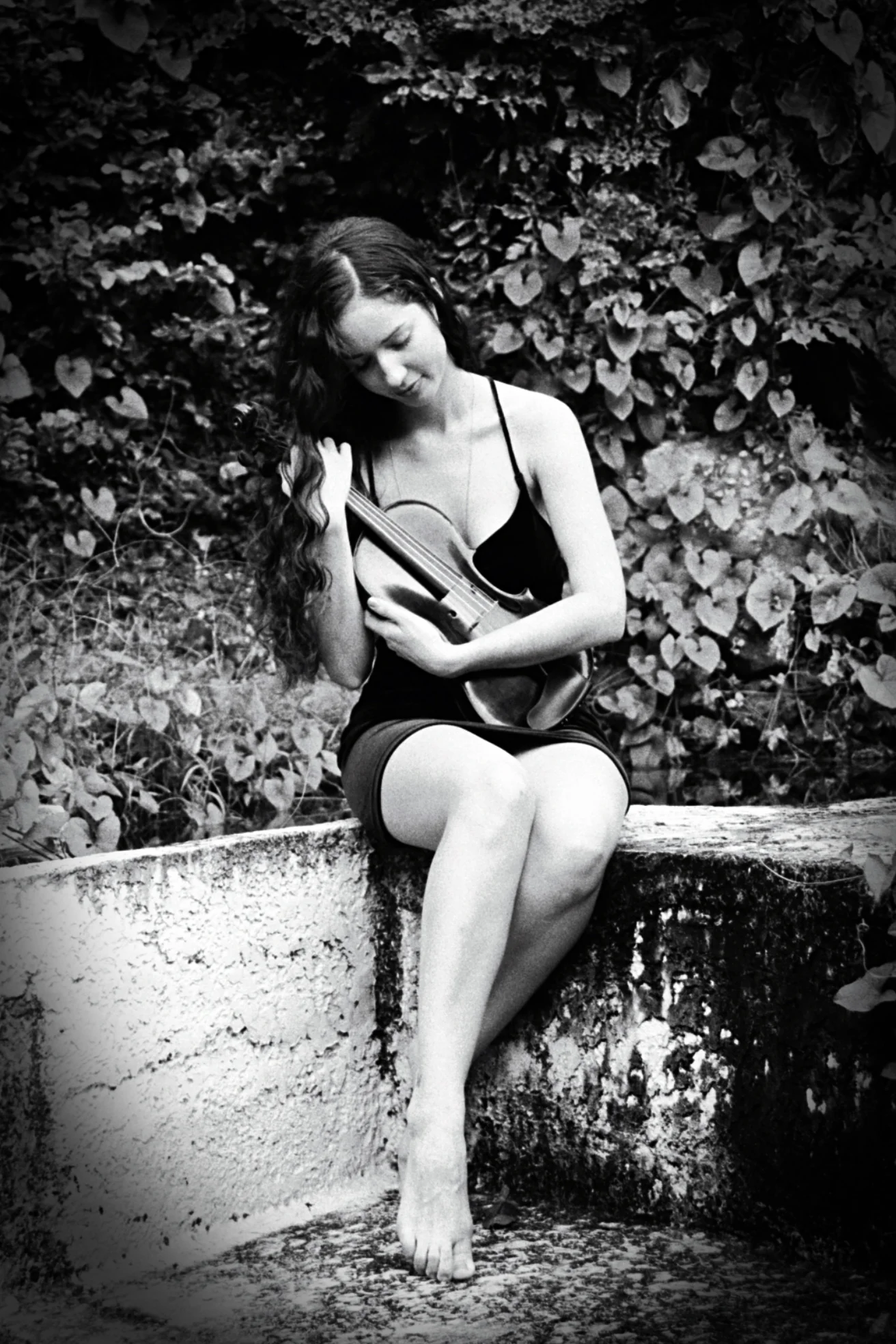 Violin Tranquility
