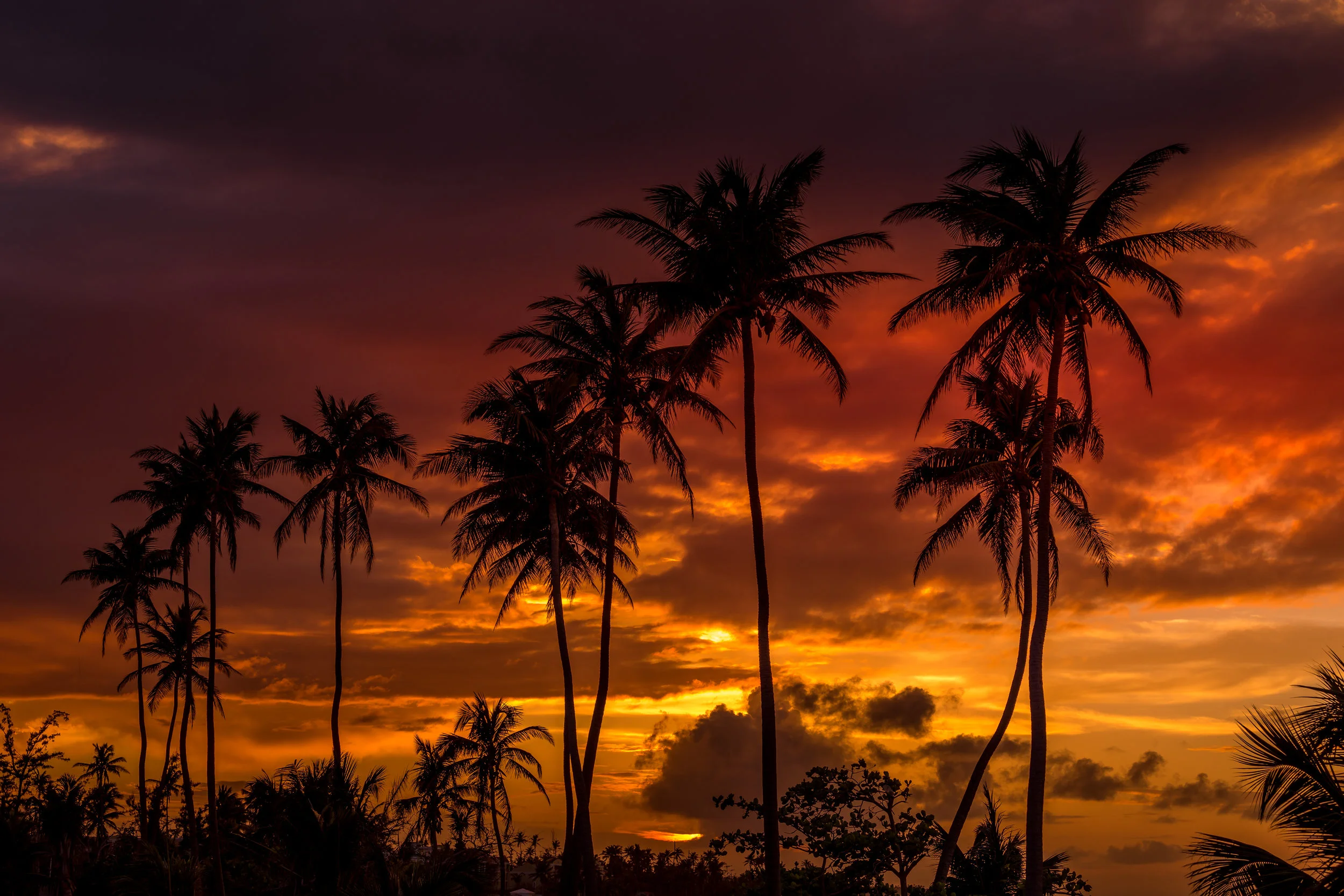 0028_Beach Sunset 2.jpg
