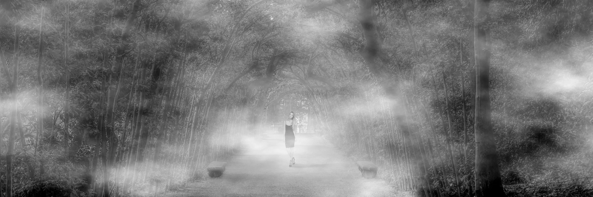 008 Mist at Giardino di Boboli 2A.jpg