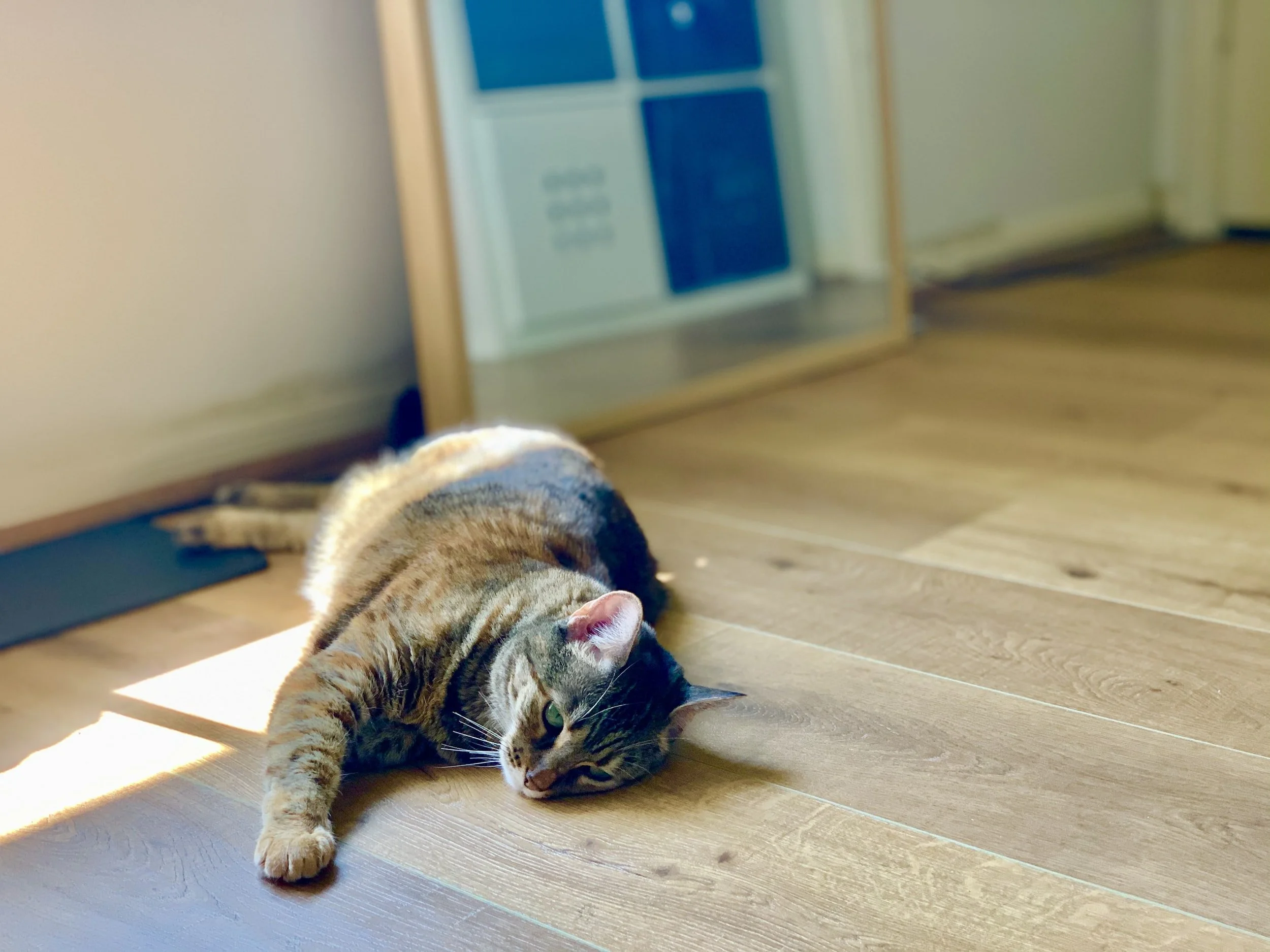 unsplash-image-WI90NidF96s.jpg