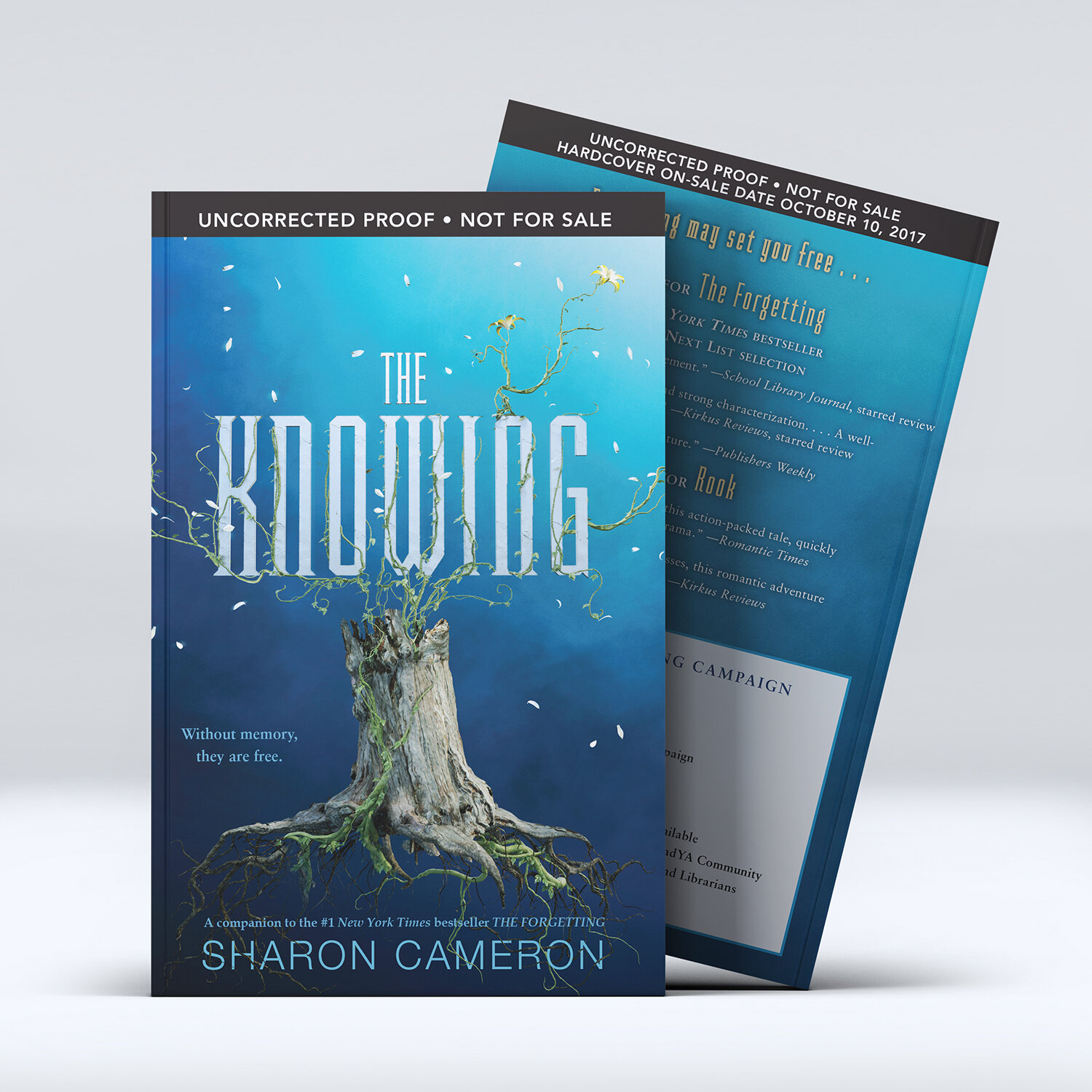 The Knowing Soft Cover Book MockUp.jpg