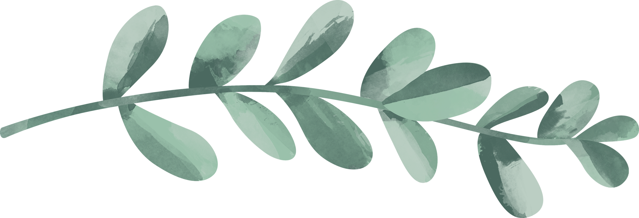 branch.png