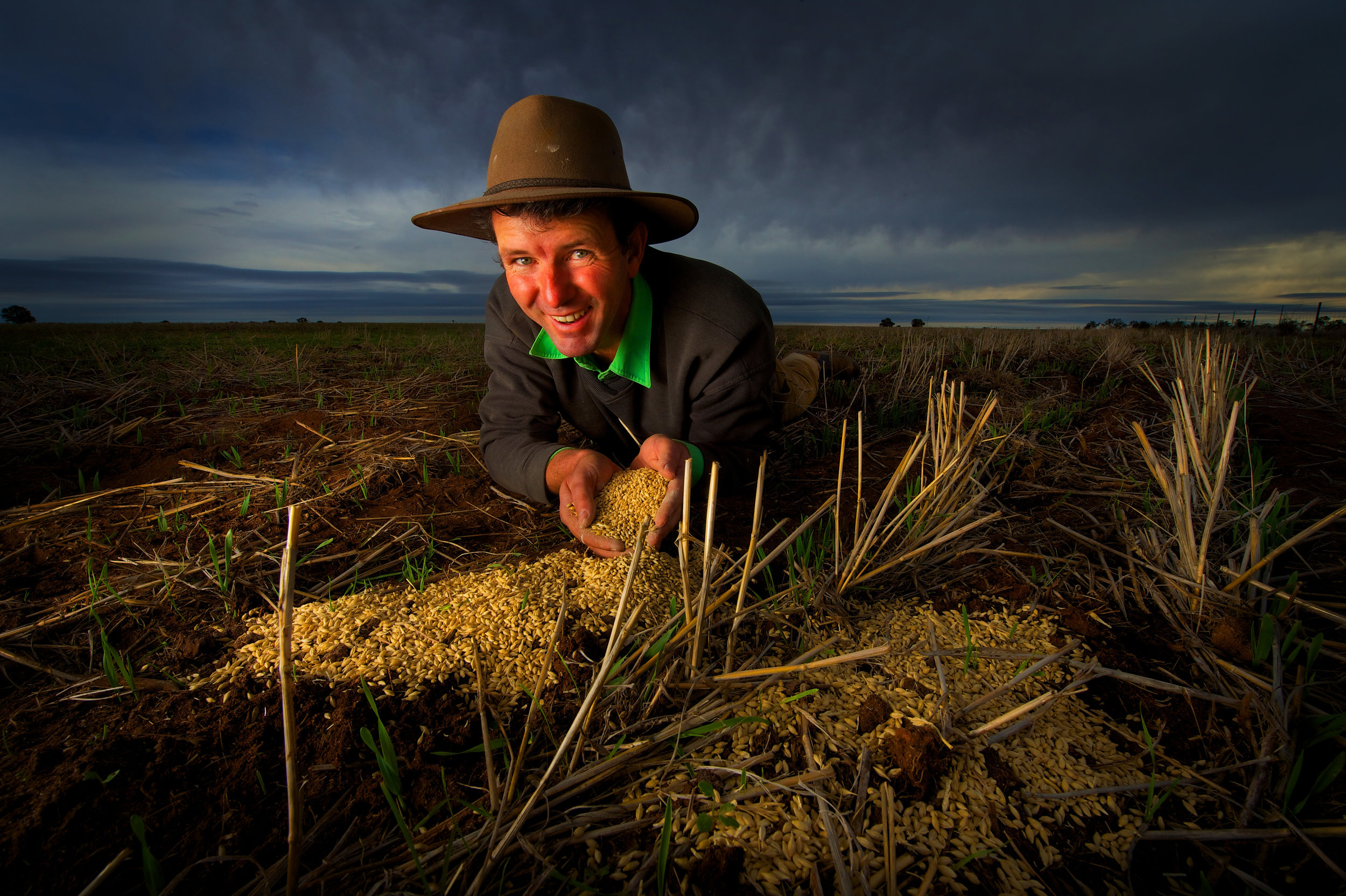 CHP_Export_11727995_Farmers enjoy the rains.Brett Hosking holds seed at his farm at Quambatook.jpg