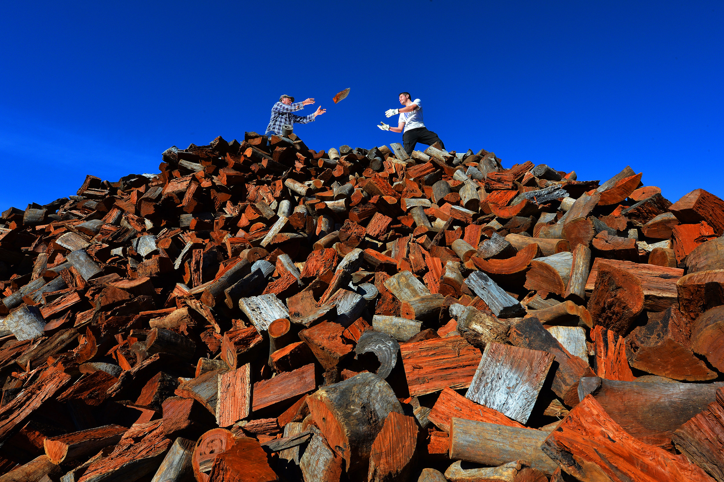 CHP_Export_14345953_Alex Houghton and Rob Prins  on top of 2500 tons of wood at Robs redgum at C.jpg