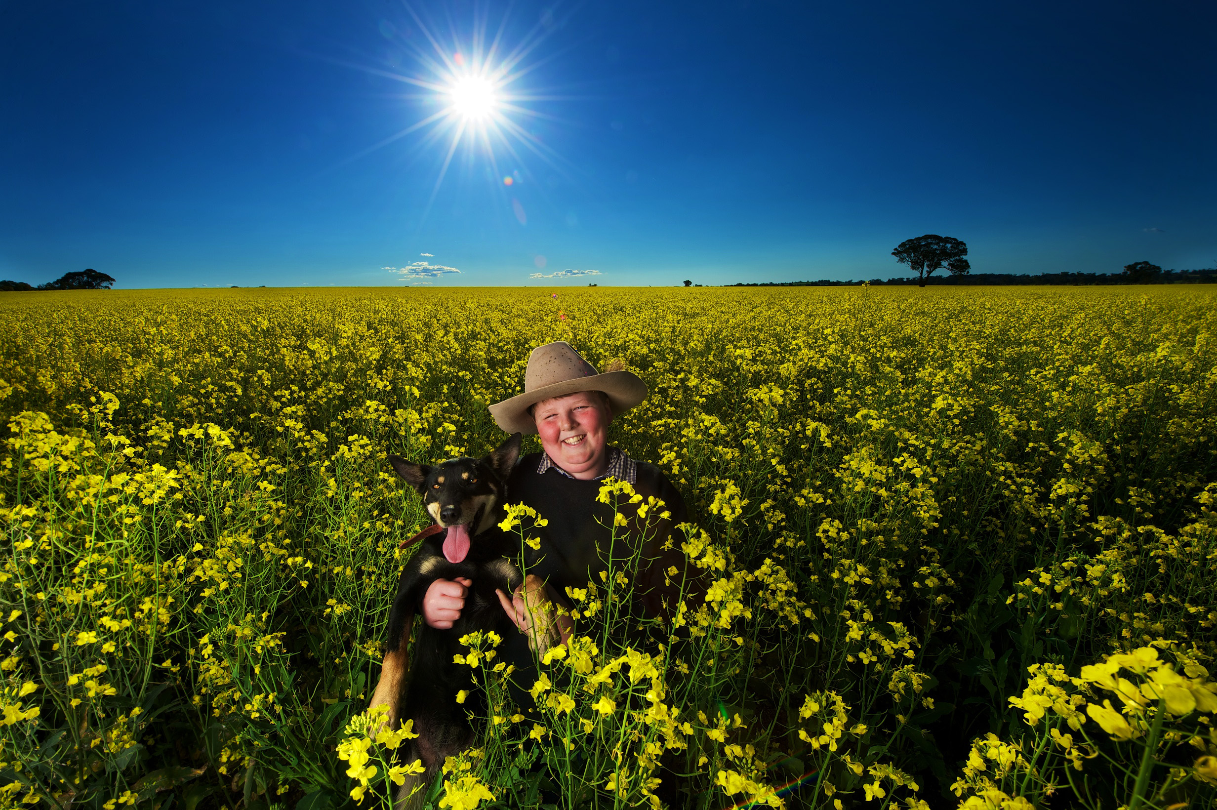 CHP_Export_91422582_HS25 We%27re for Victoria Tom Punton 13 with Zoe in  canola fields on his fami.jpg
