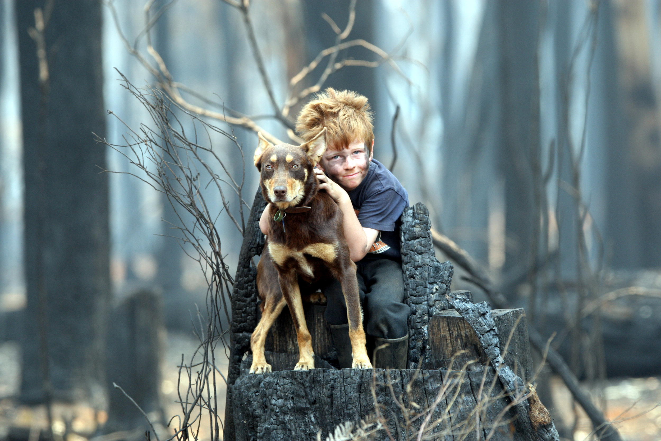 CHP_Export_47181473_Byron and Emerald Blyth with dog Duke they survived the bushfires at Kinglake..jpg