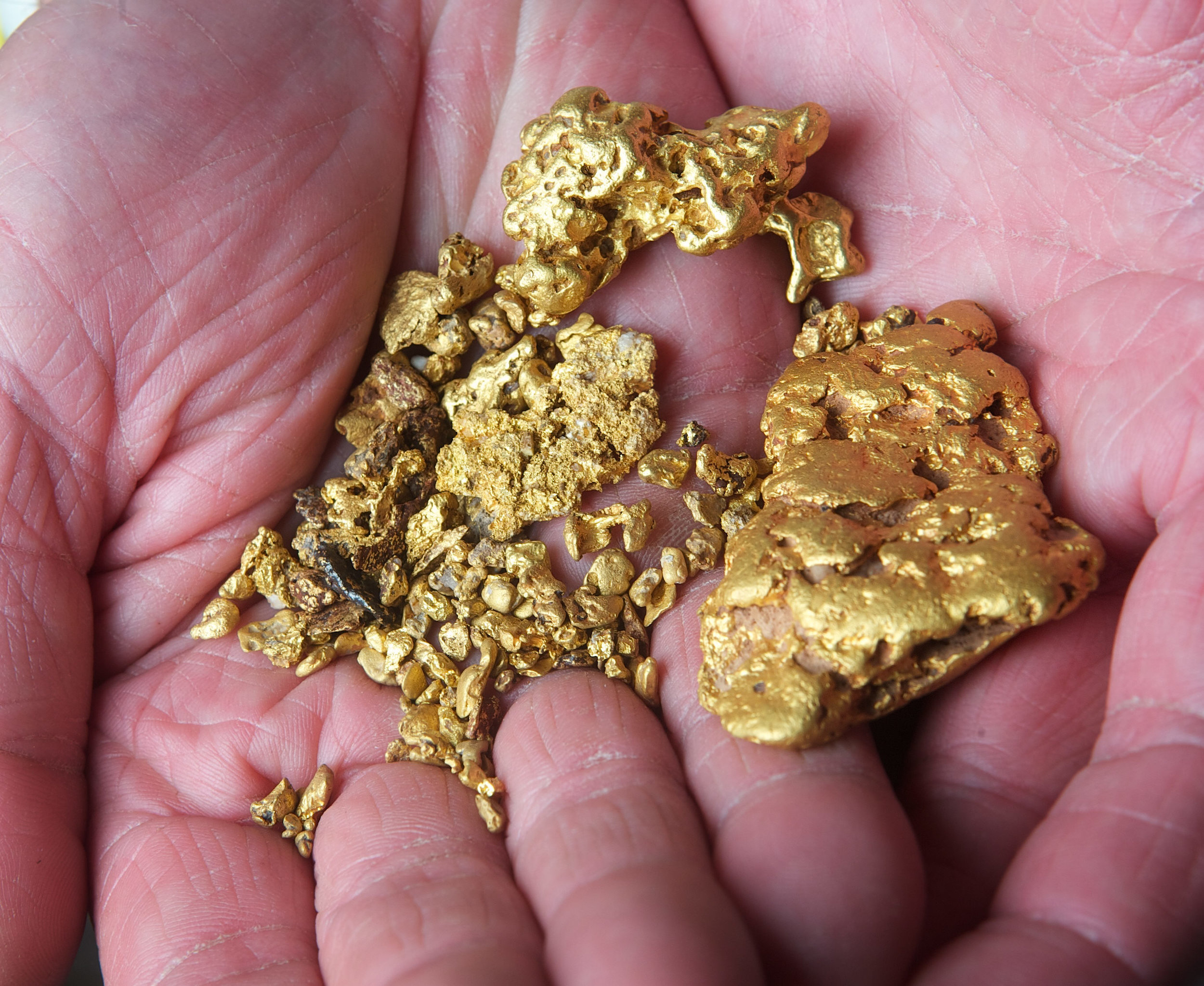 CHP_Export_3416134_Gold Fever n Over 10000 of nuggets found by Gold detectors in Central Victoria ..jpg