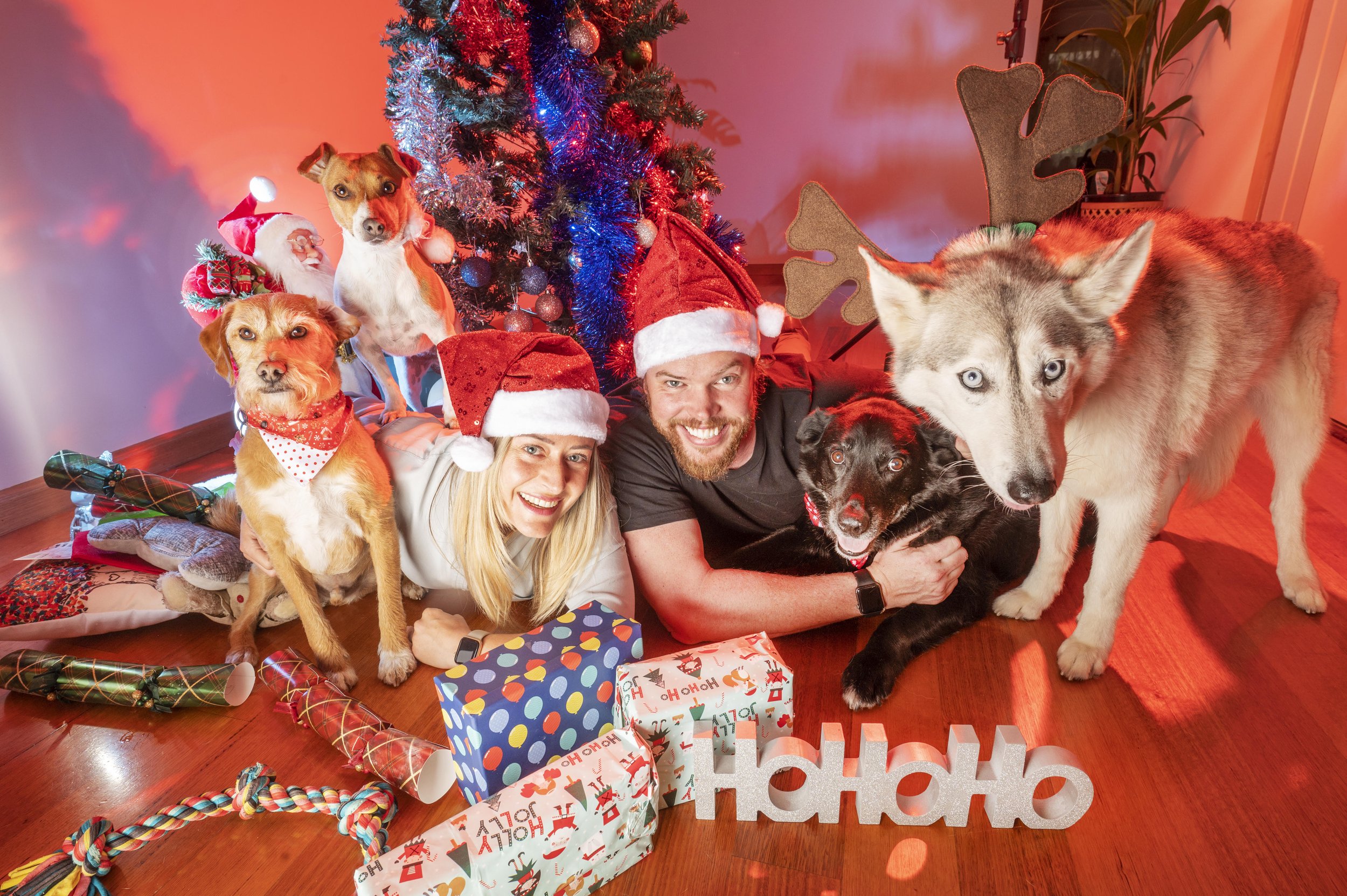 Christmas Dogs, Melbourne