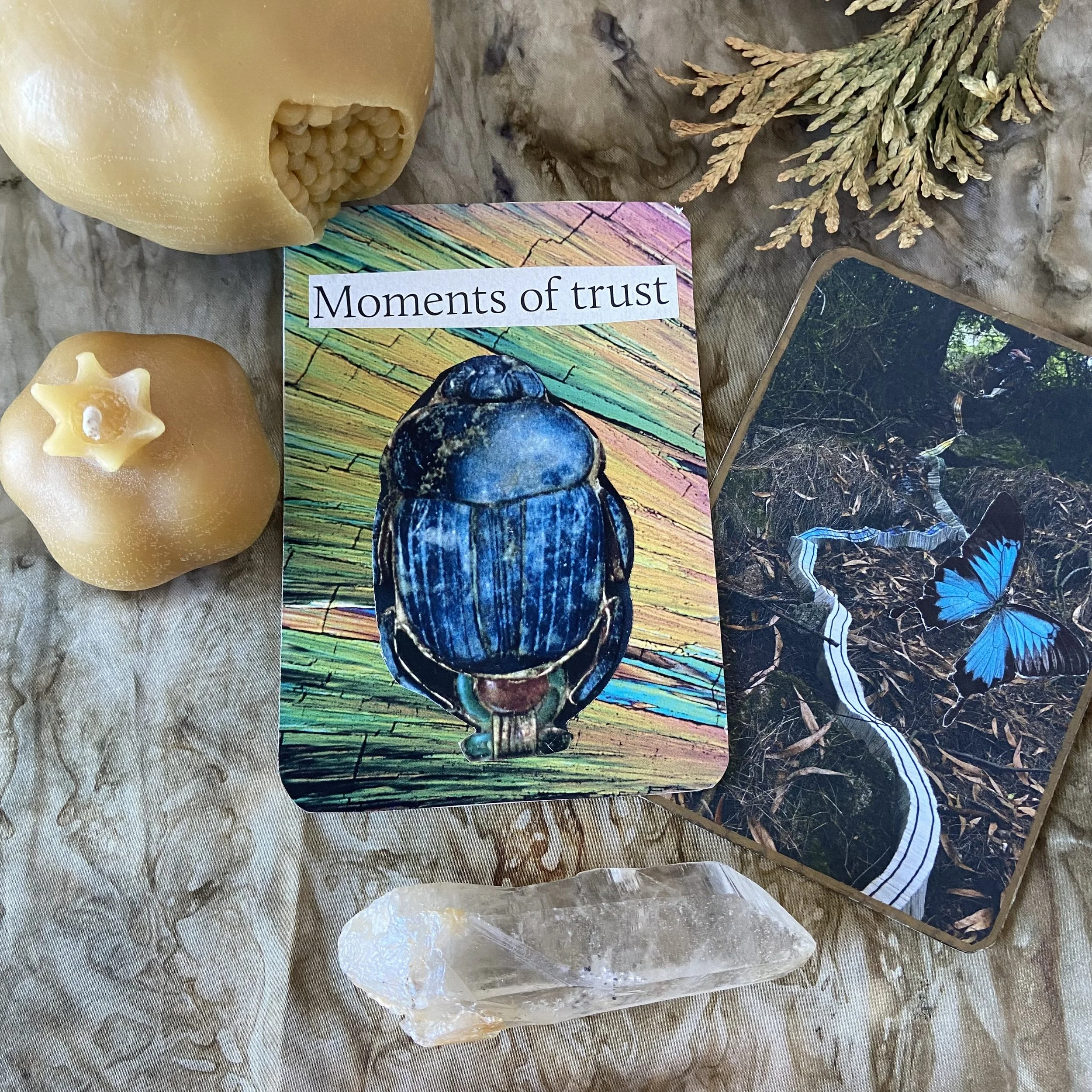 Seasonal Intuition: Fall Equinox