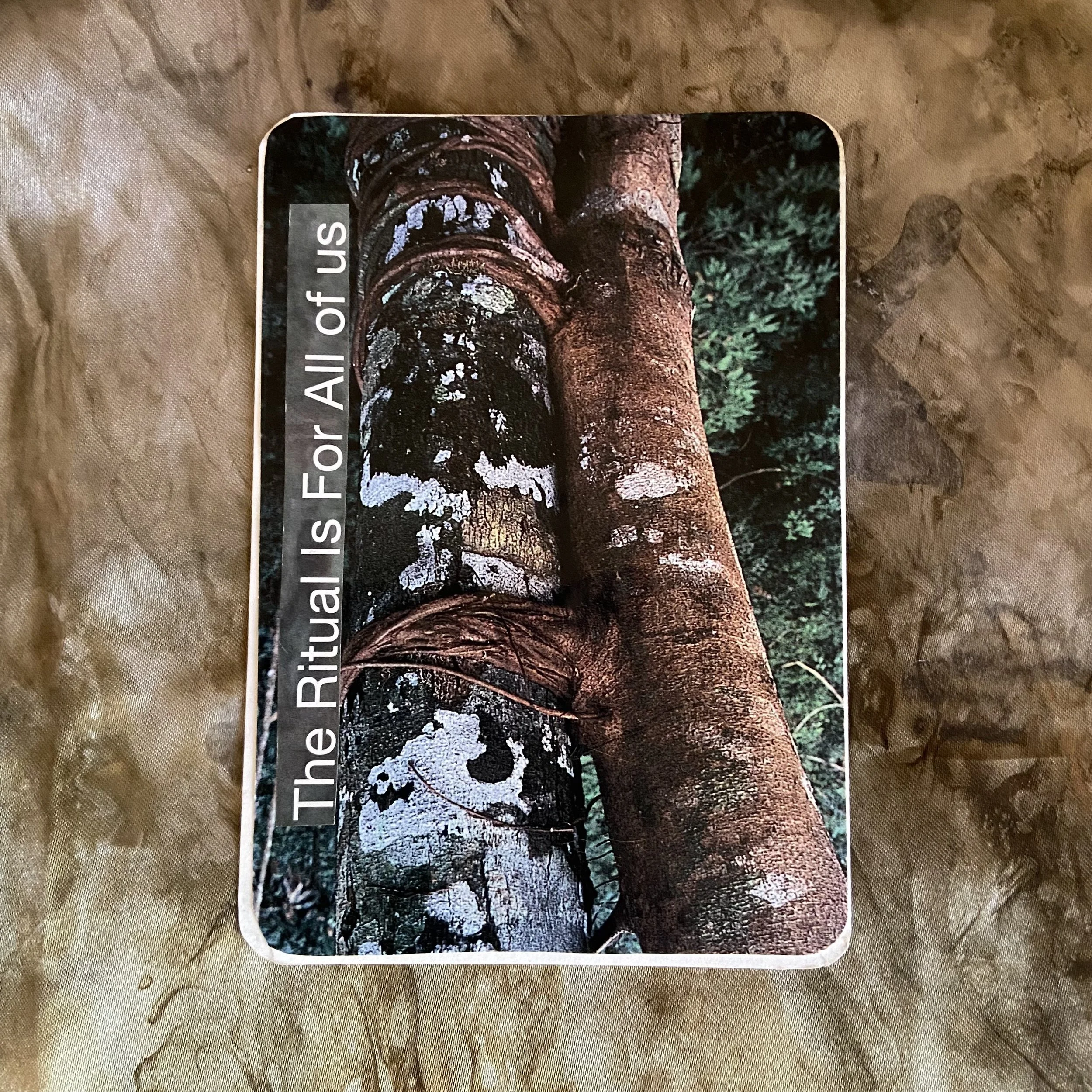 Seasonal Intuition: Fall Equinox
