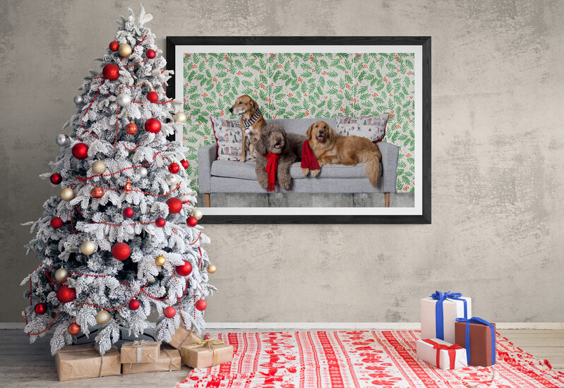 White_Christmas_tree_in_rustic_living_room.jpg