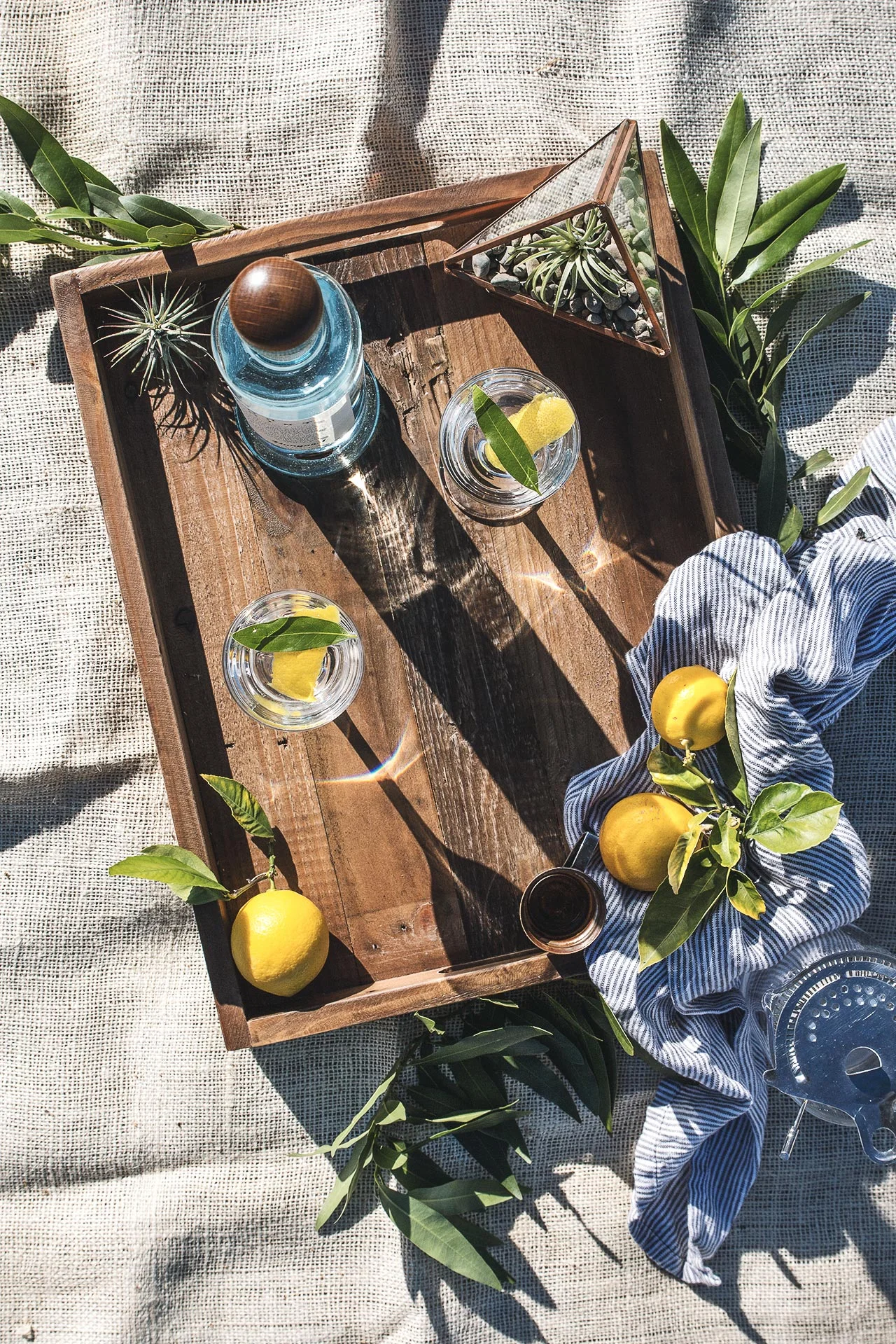 hangar.1.fog_.point_.vodka_.bay_.laurel.martini.4.1.jpg