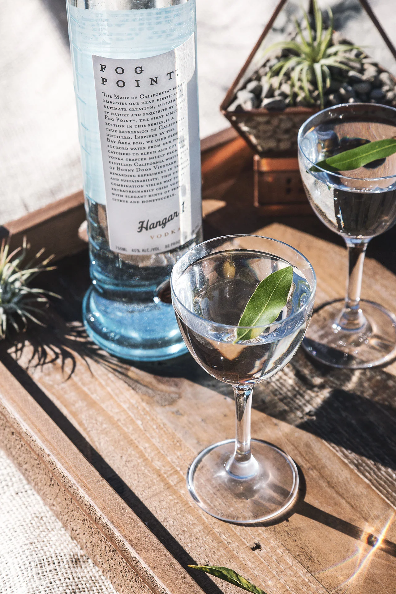 hangar.1.fog_.point_.vodka_.bay_.laurel.martini.18.1.jpg