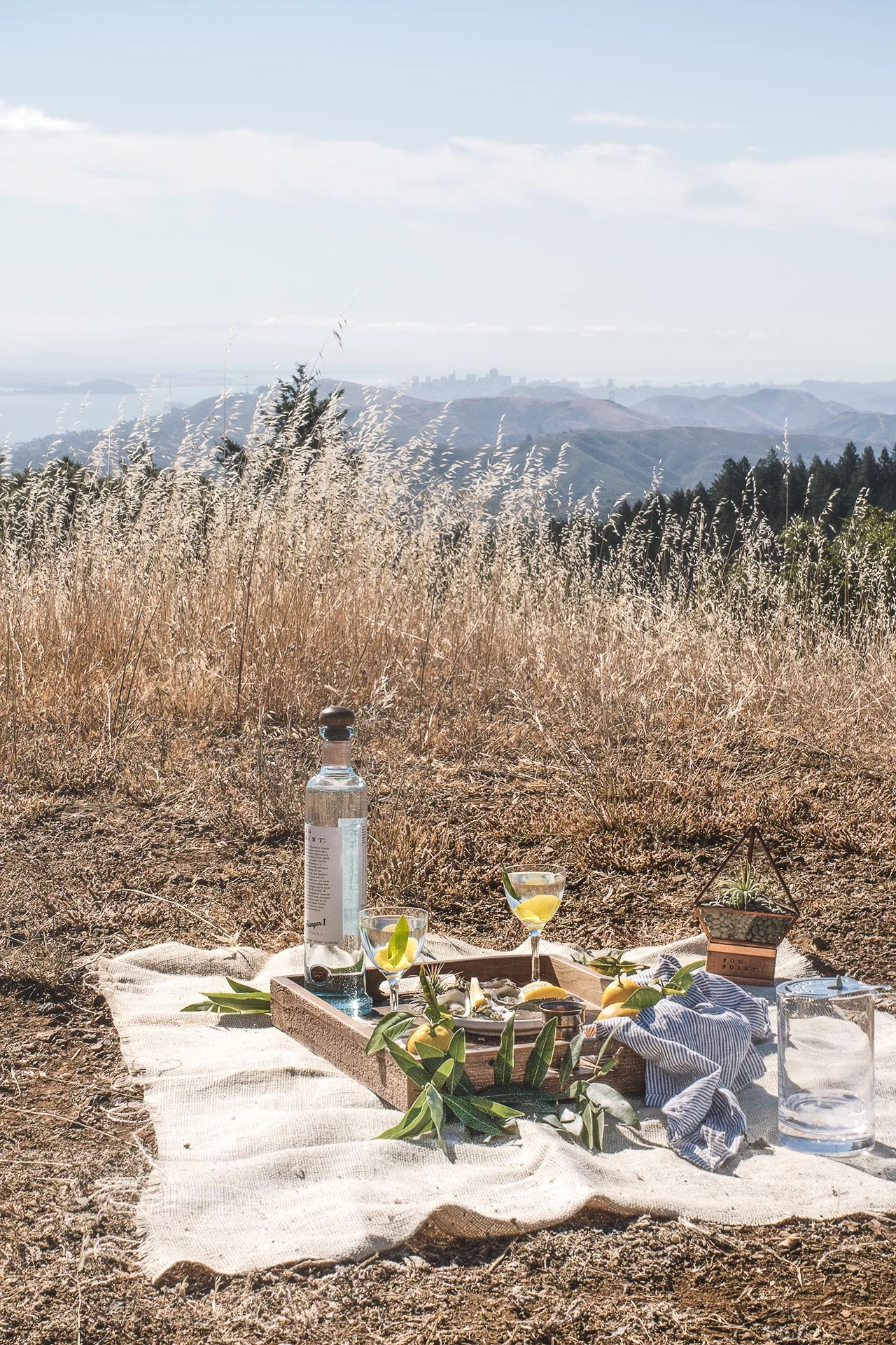 hangar.1.fog_.point_.vodka_.bay_.laurel.martini.9.1.jpg