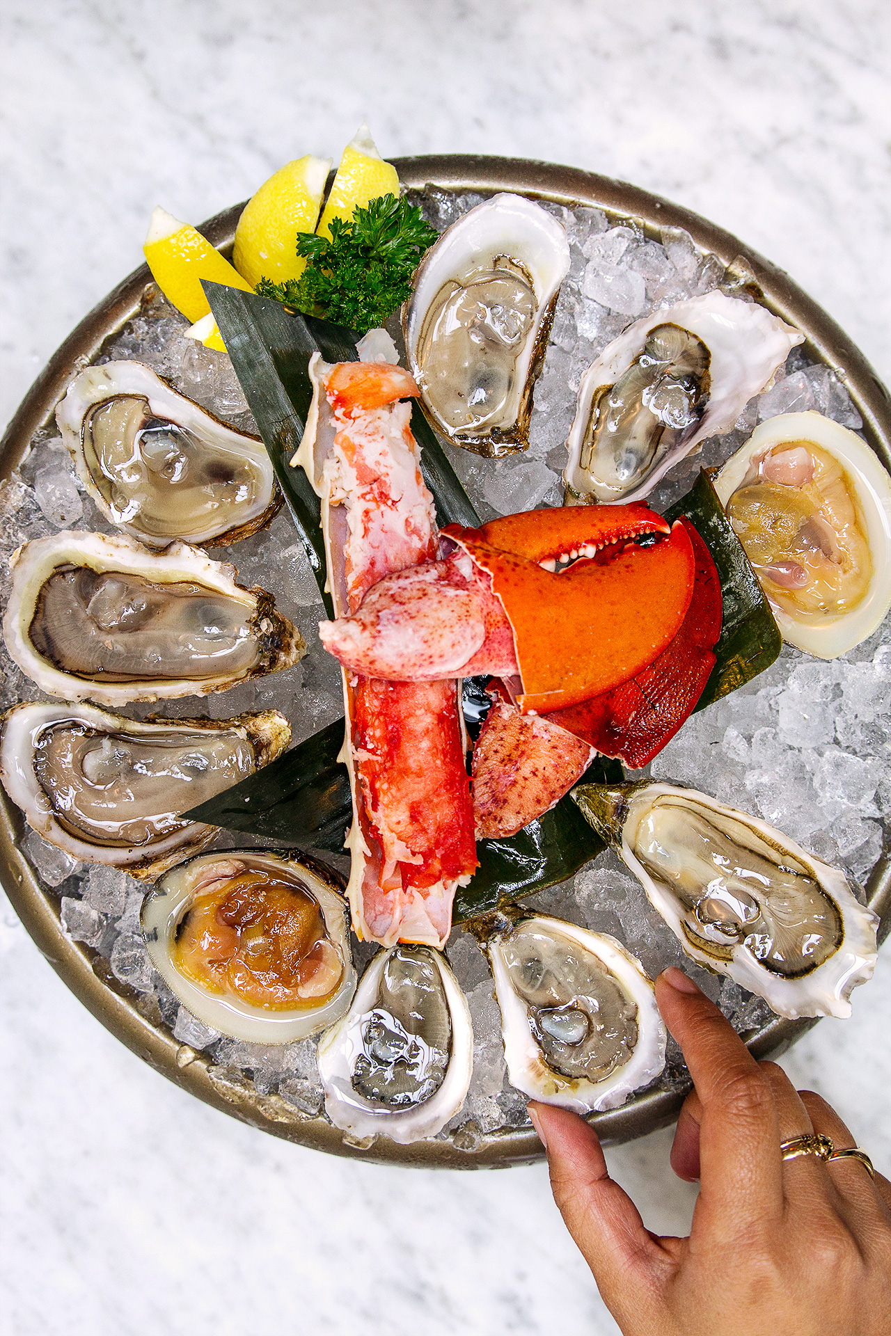 raw.leos.oyster.bar.9951.1.jpg