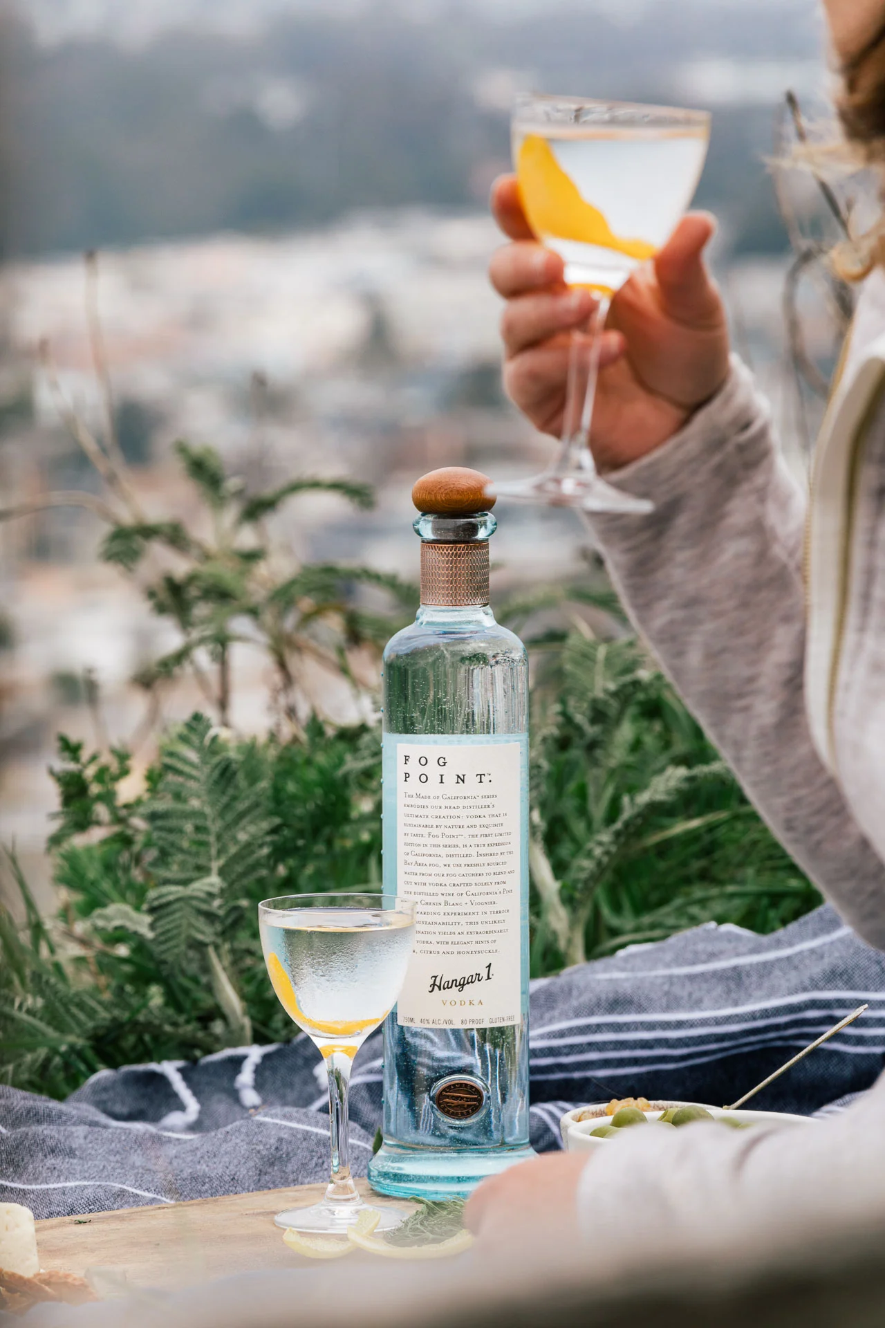 20180424-untitled-9772-Edit.fog.point.vodka.hangar.1.jpg