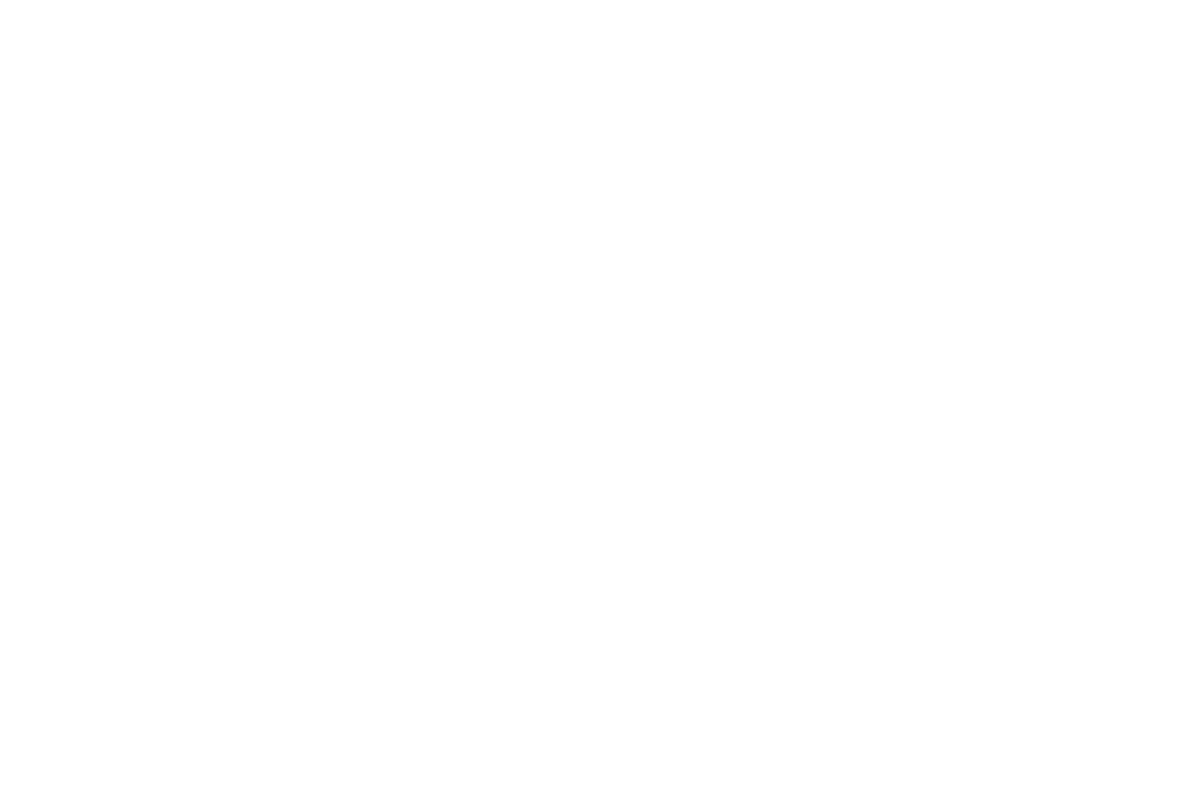 Special Selection - Project Greenlight - 2017.png