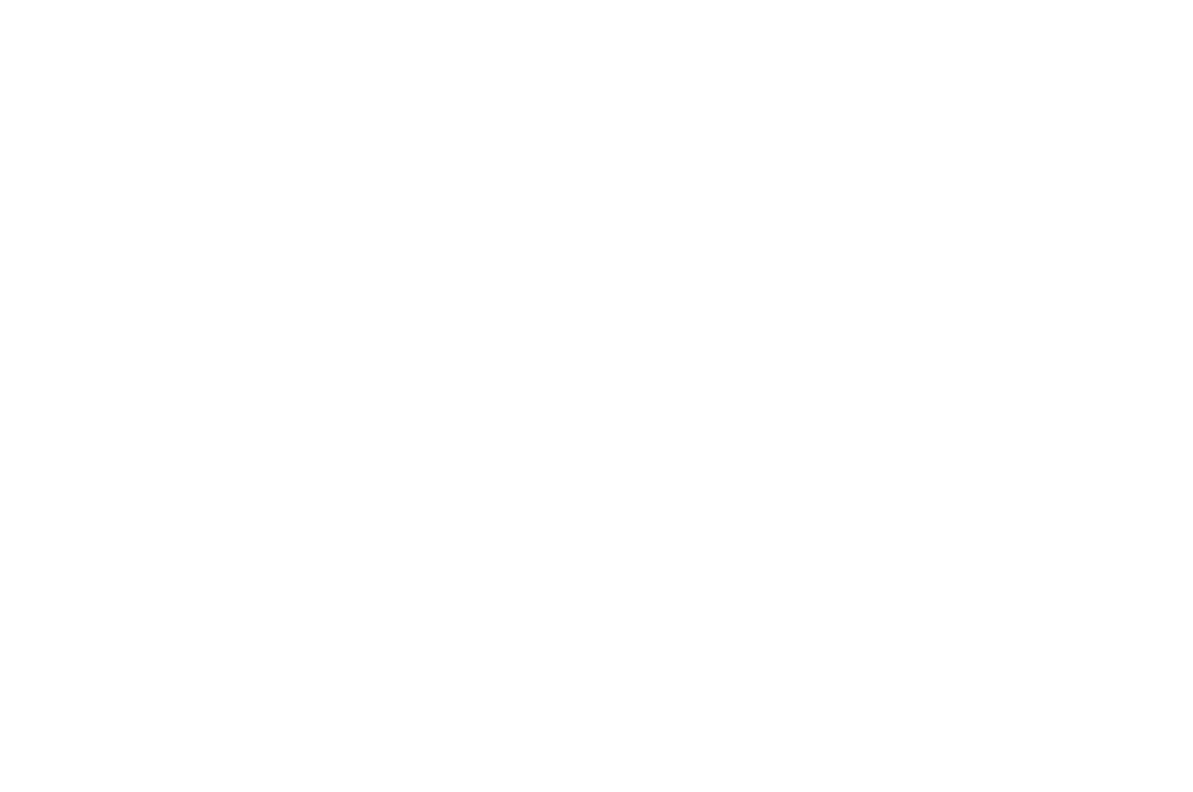 Finalist - Sundance Writers Fellowship - 2016.png