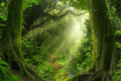Fotolia_134636178_XS.jpg