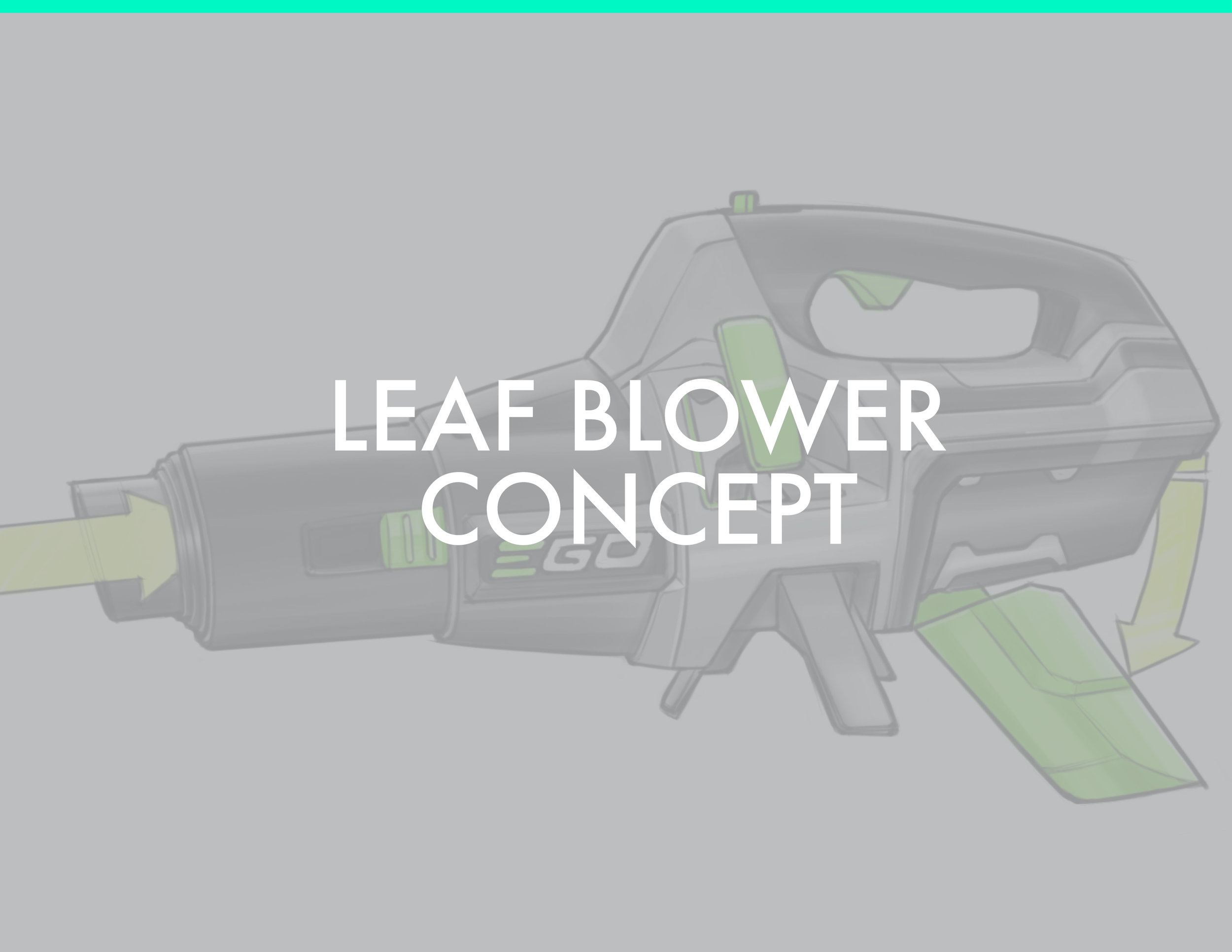 LEAF BLOWER-01.jpg