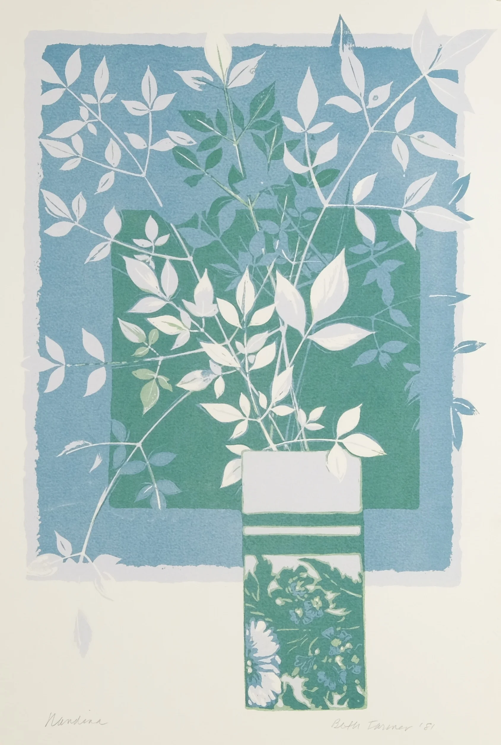 Nandina, Blue, 13 x 19.5