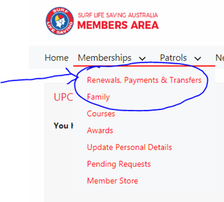 OnlineRenew1.png