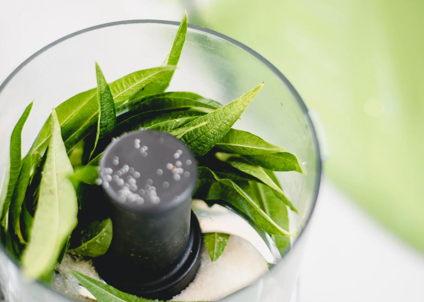 Lemon verbena leaves with sugar