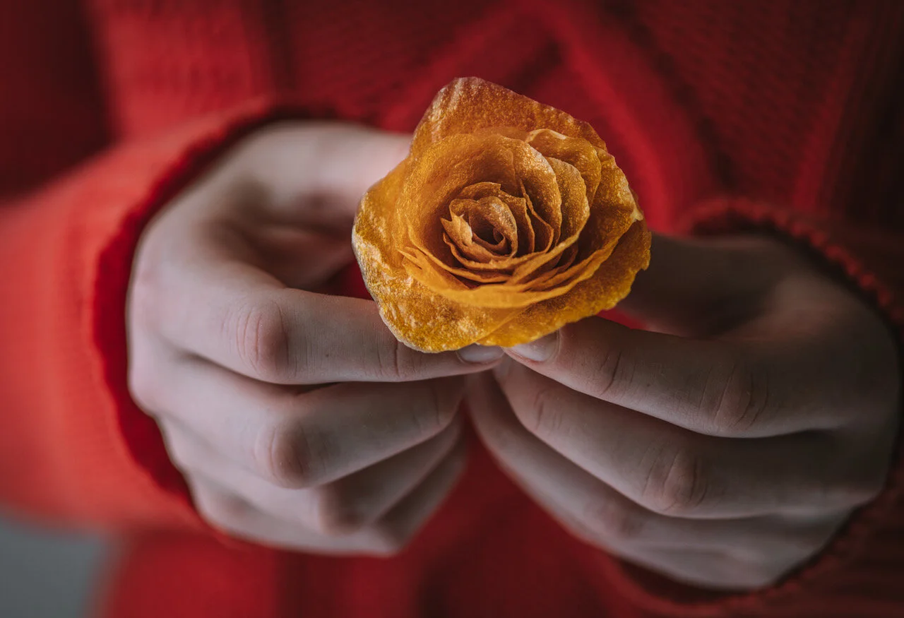 mango flower moody.jpeg