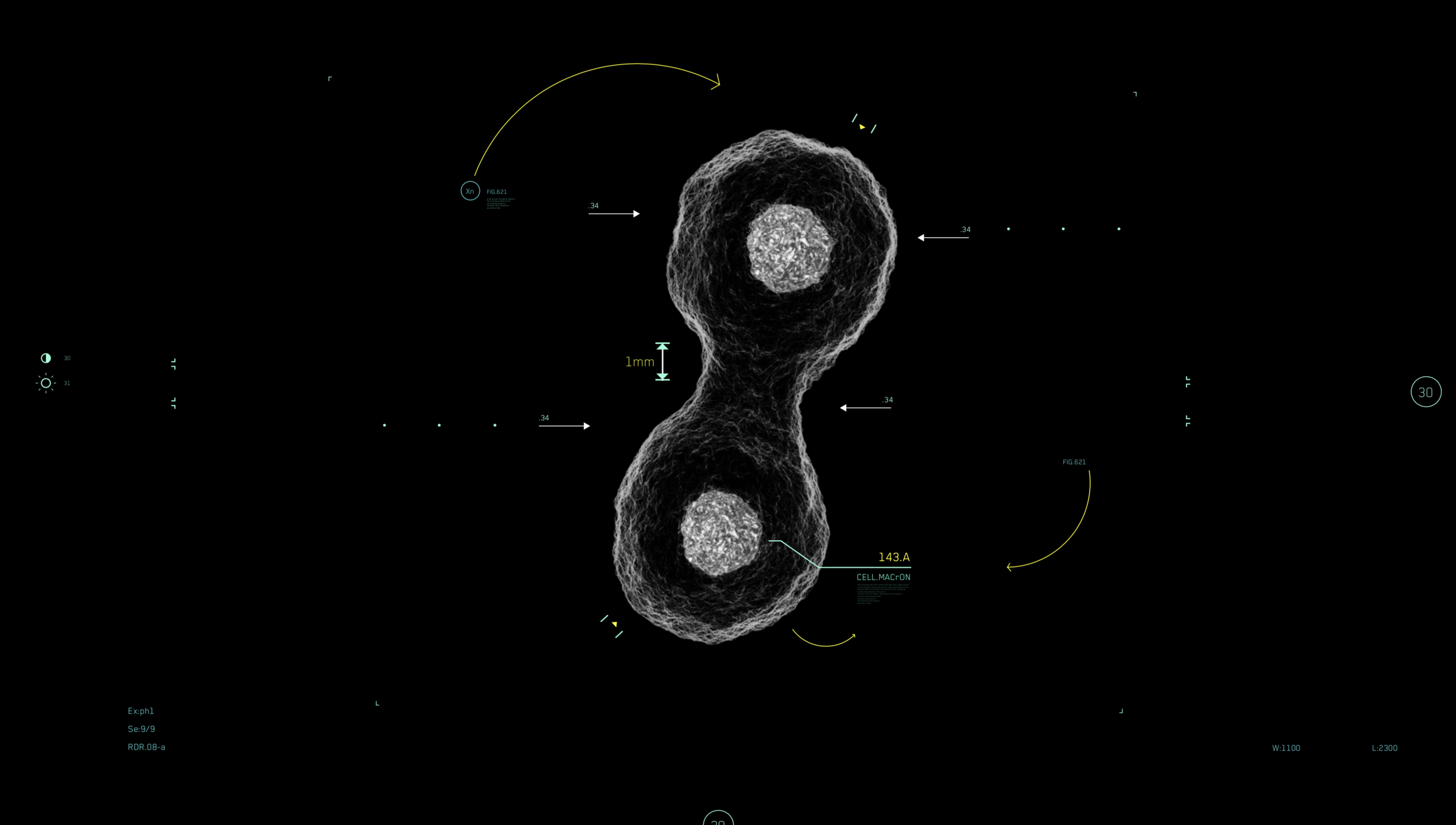 Screen Shot 2019-09-18 at 3.00.23 PM.png