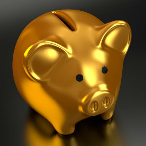 piggy-bank-2889046_1920.jpg