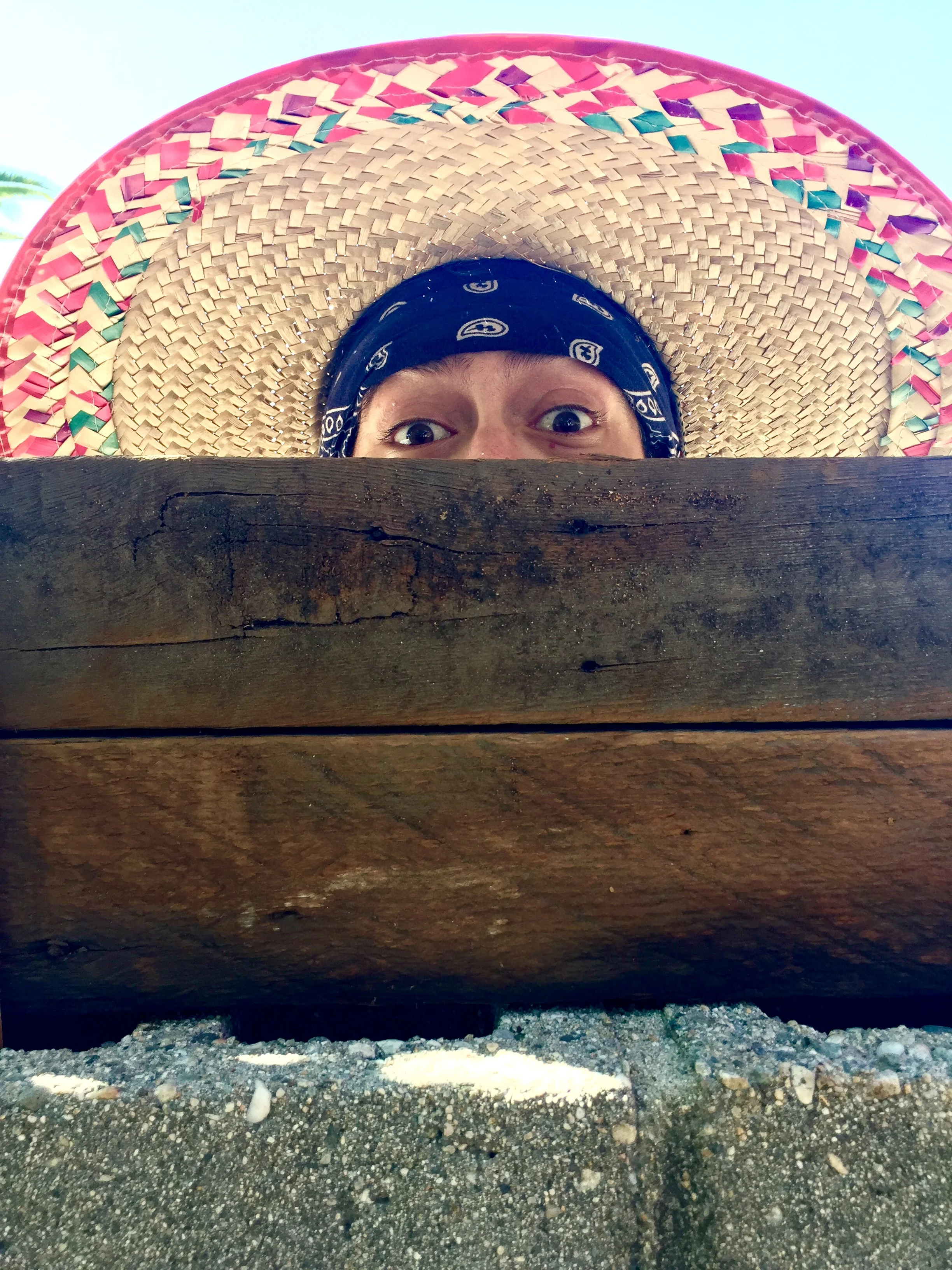 Stacking Logs and Posting Blogs