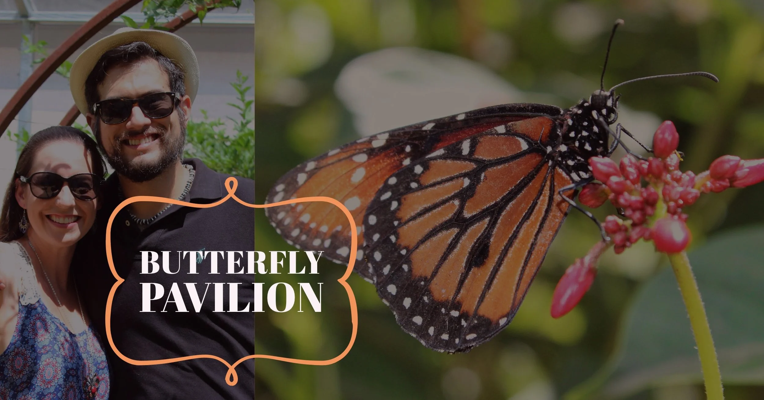 Butterfly Pavilion - LA Natural History Museum