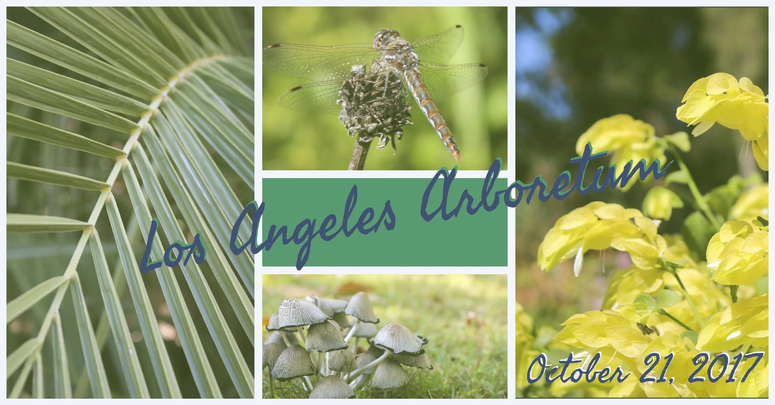 October in the Arboretum